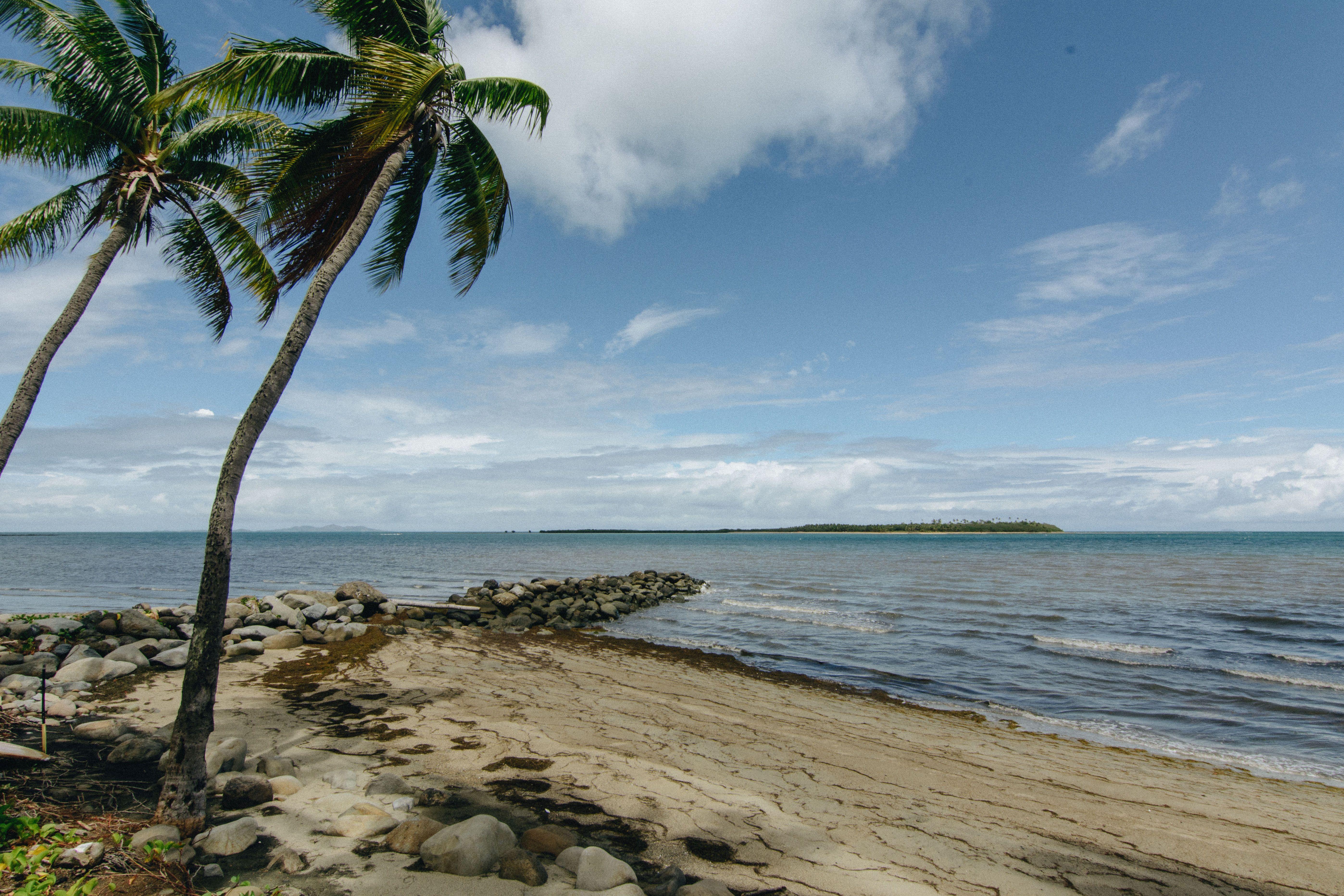 5591x3727 Photography Of Seashore During Daytime During Daytime HD Wallpaper Hub