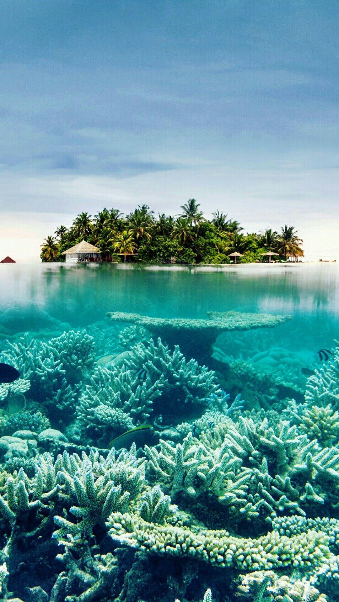 Island Vibes Wallpapers - Top Free Island Vibes Backgrounds