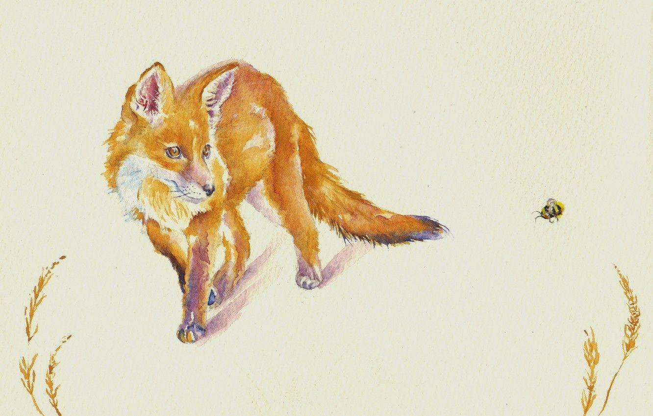 1332x850 Wallpaper watercolor, Fox, bee, face image for desktop, section живопись