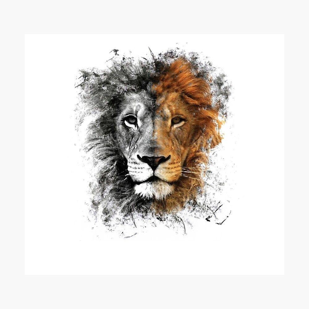 1000x1000 T SHIRT Lion Head' Photographic Print By Tarek Tarek. Watercolor Lion, Lion Art, Lion Photography