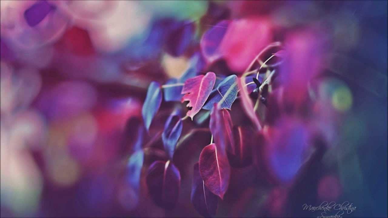 1280x720 The Doppler Effect Hides In The Deep (The Blizzard Remix) lyrics. iPad air wallpaper, Leaves wallpaper iphone, Flower bokeh