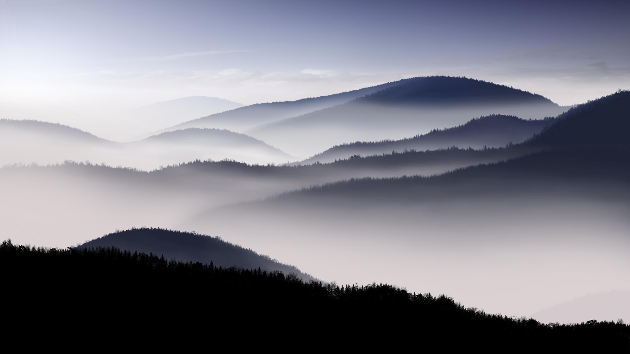 Foggy Landscape Wallpapers Top Free Foggy Landscape Backgrounds