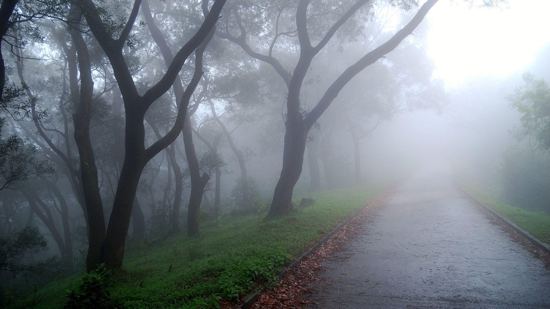1920x1080 Foggy wallpaperx1080