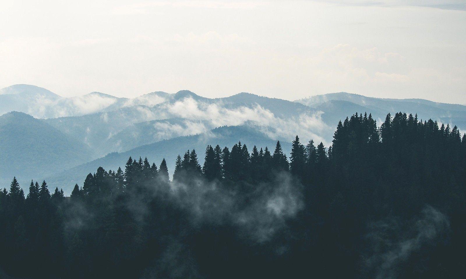 1600x960 Mountains, Clouds, Forest, Fog, HD City Wallpaper, Places, Landscape, Beautiful Place Wallpaper, Cool City Image, Best Town, City Image F