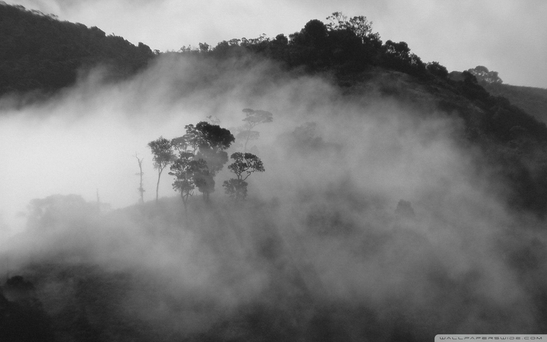 1920x1200 Landscapes, winter, black, foggy, vector, white, quality, garcya, allgirls, girls, high, lovely, themed