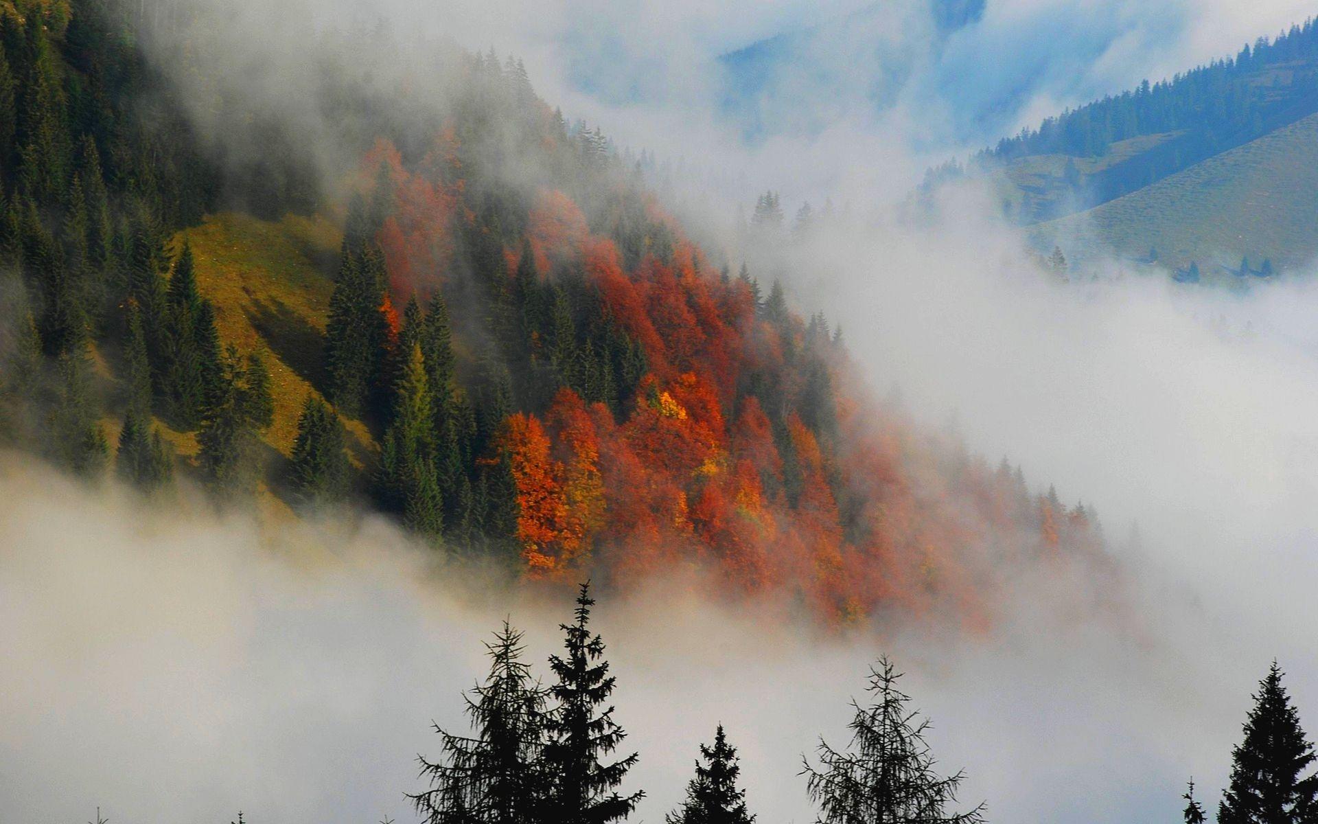 1920x1200 foggy landscape wallpaper Desktop Wallpaperk HD