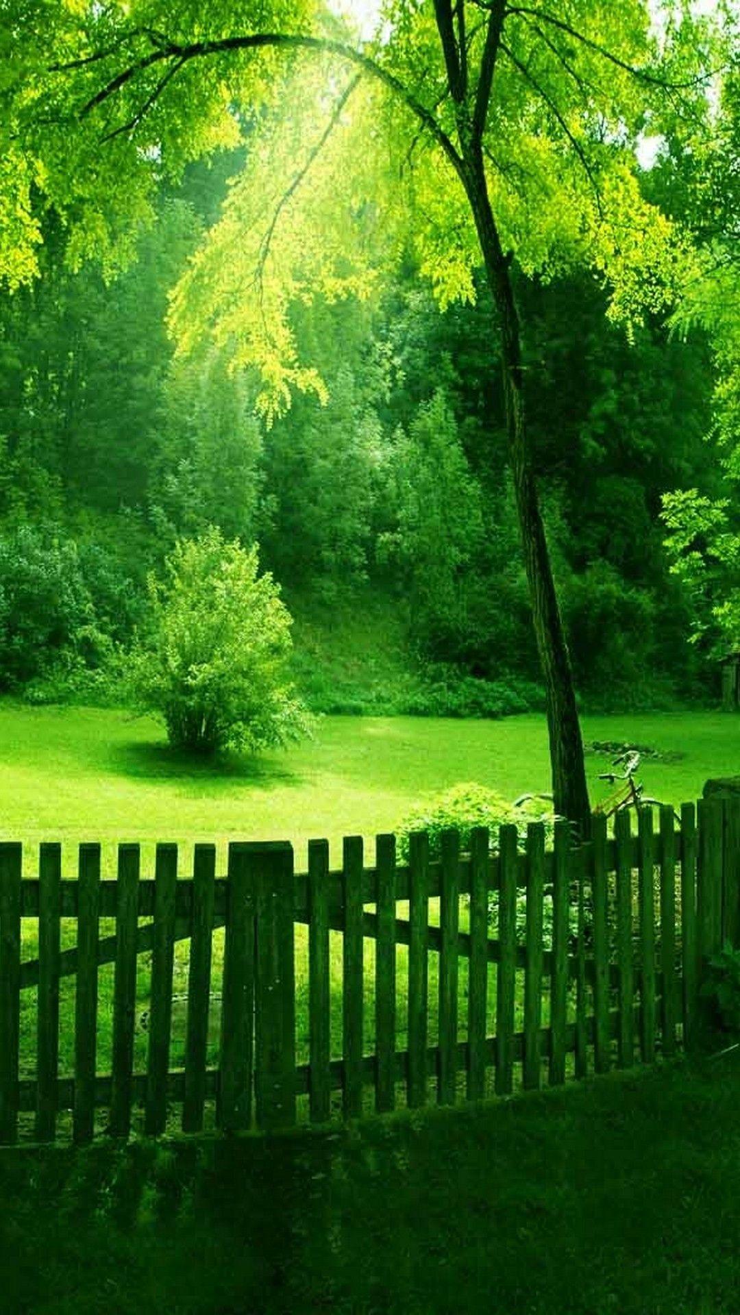 1080x1920 Early Spring i Phones Wallpaper Phone Wallpaper HD