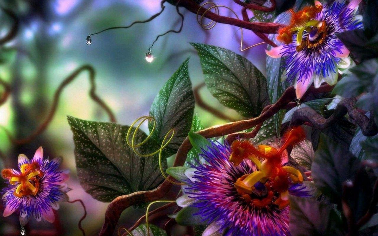 1280x800 Beautiful Flower Wallpaper Image For Download