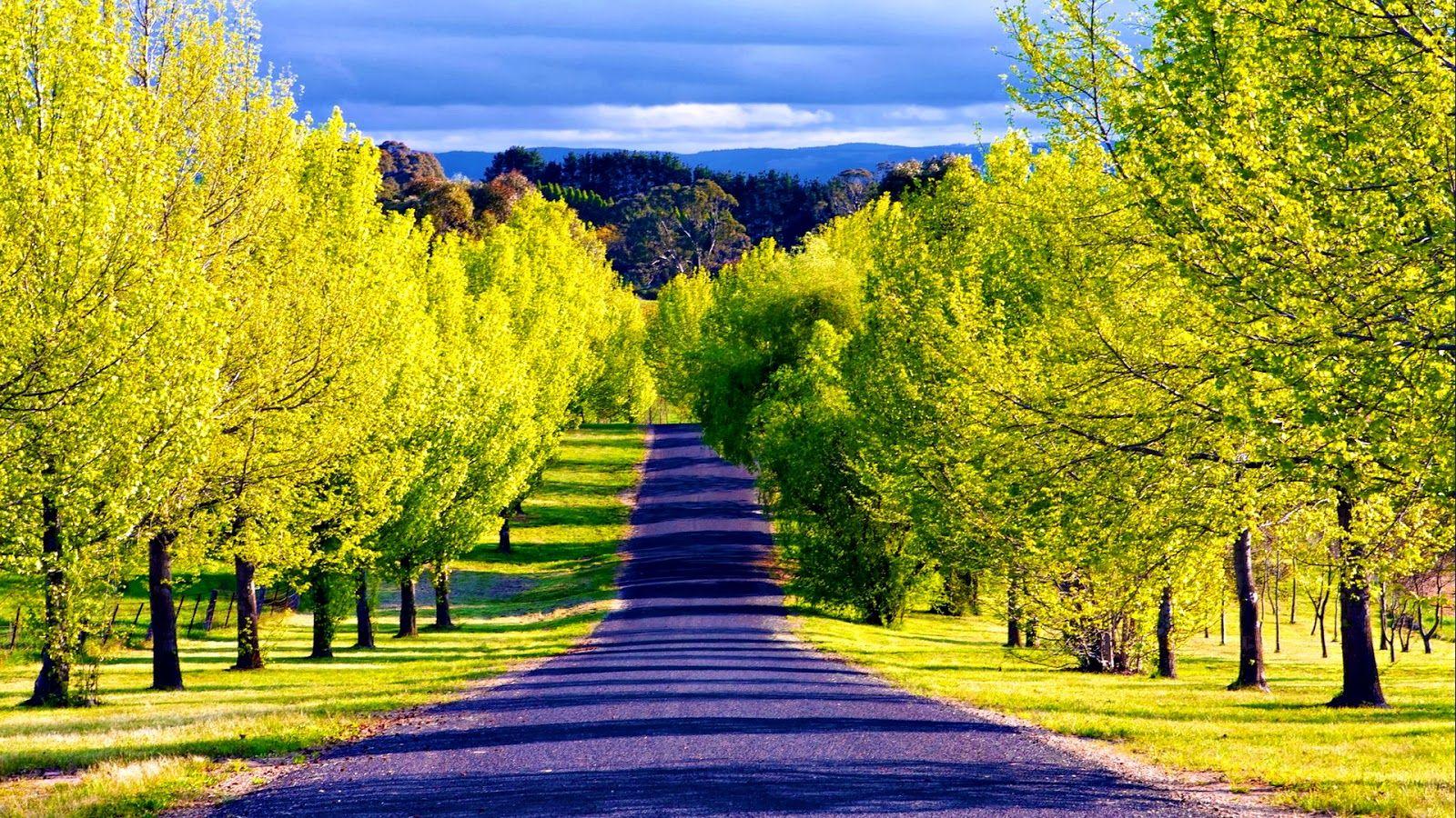 Pathway Wallpapers Top Free Pathway Backgrounds WallpaperAccess