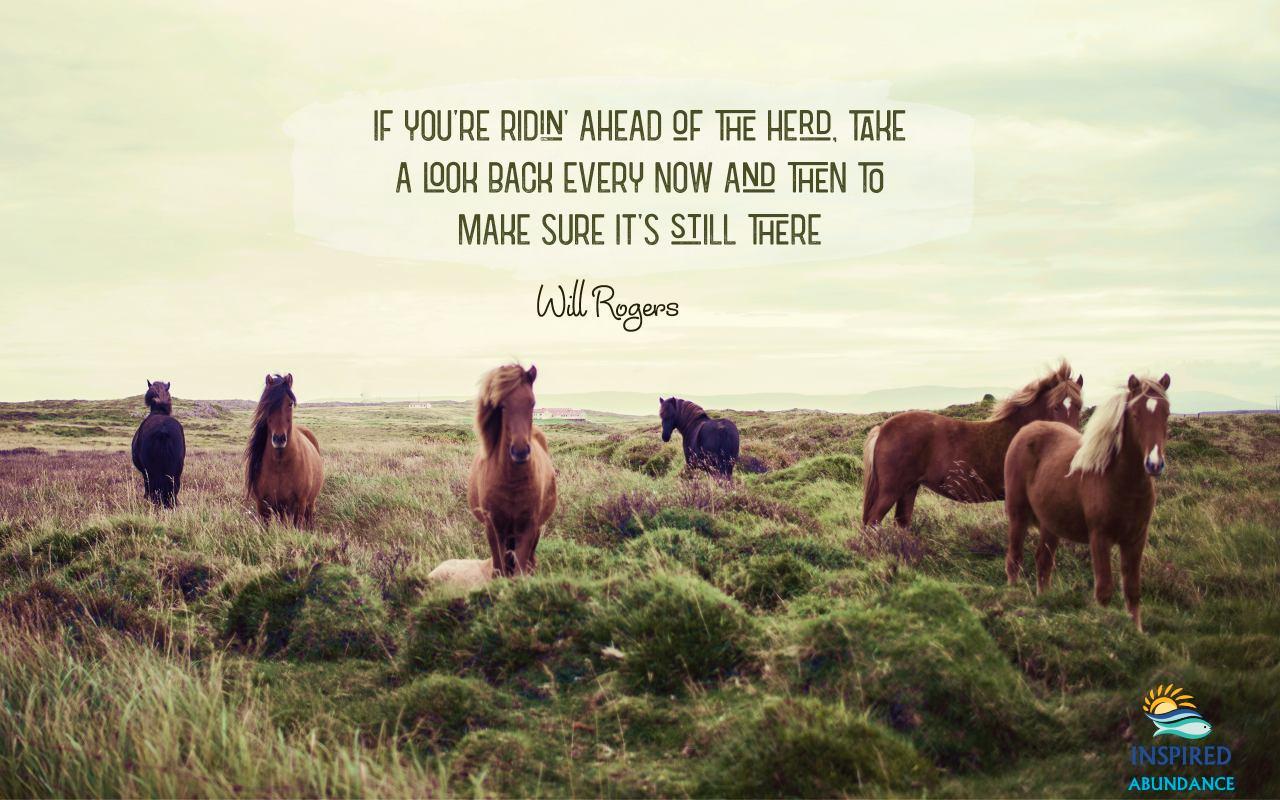 Horse Quotes Wallpapers Top Free Horse Quotes Backgrounds WallpaperAccess