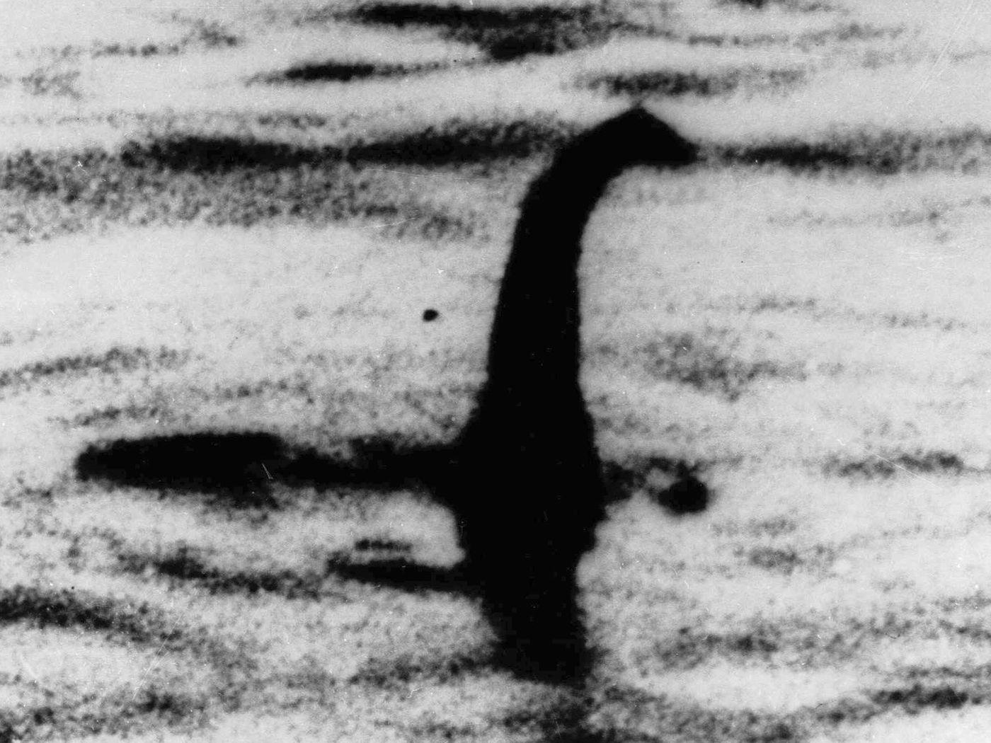 1400x1050 Loch Ness monster memes appear in 2020 after tourist photo leaks