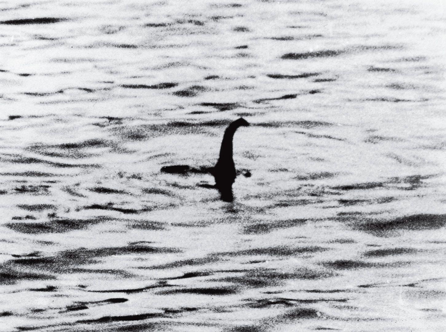 1451x1080 The Loch Ness Monster Photographs. The Most Influential Image of All Time