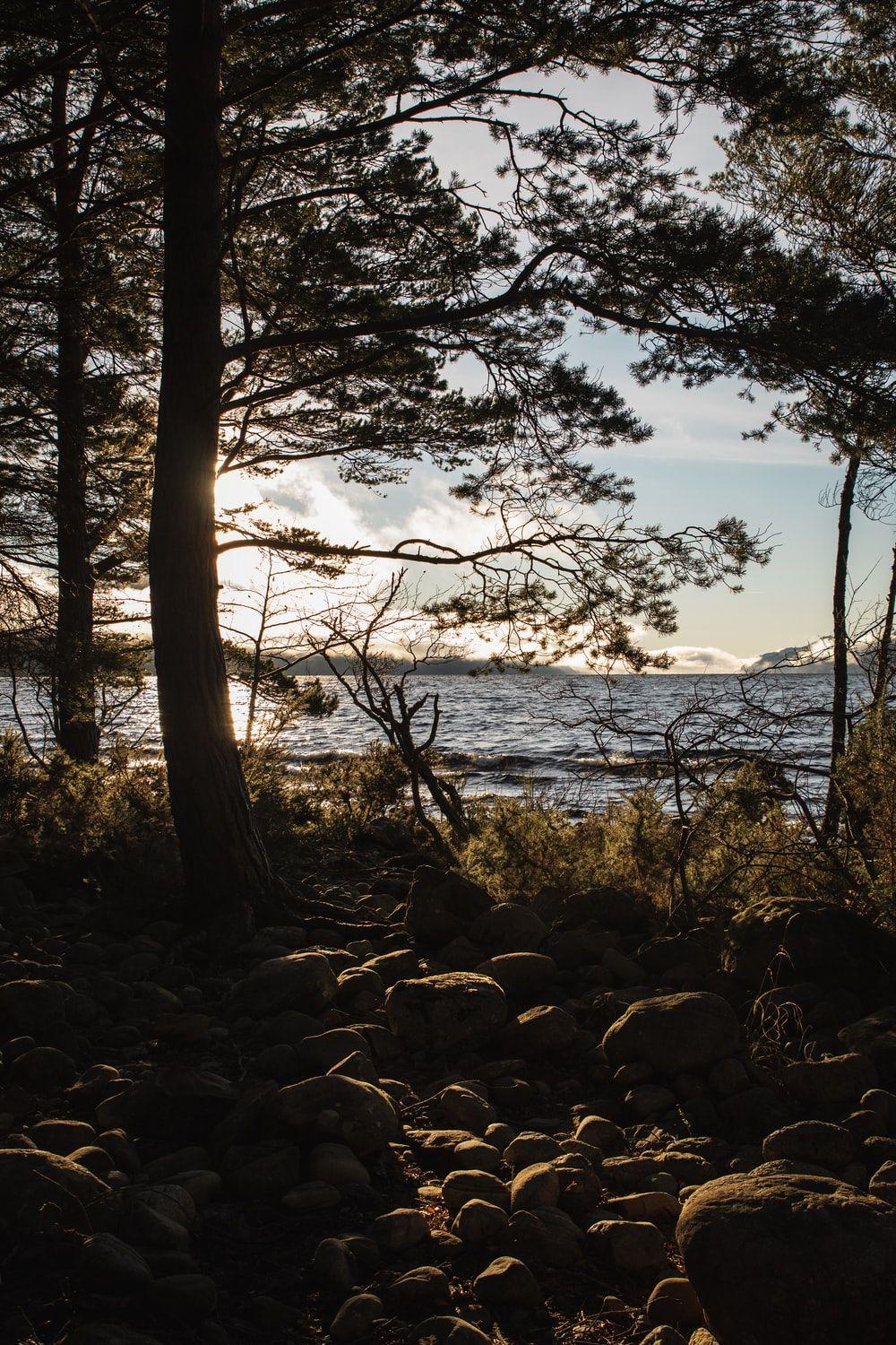 1000x1500 Loch Ness Picture. Download Free Image