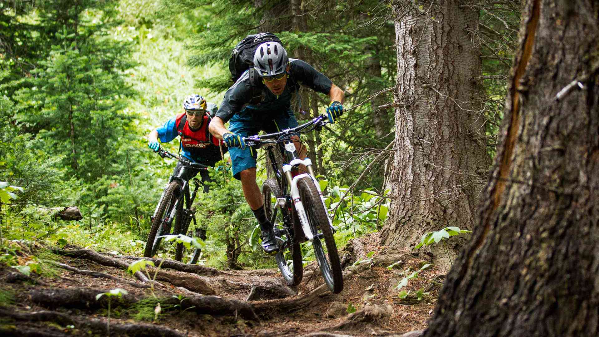 Trek Mountain Bike Wallpapers Top Free Trek Mountain Bike Backgrounds Wallpaperaccess