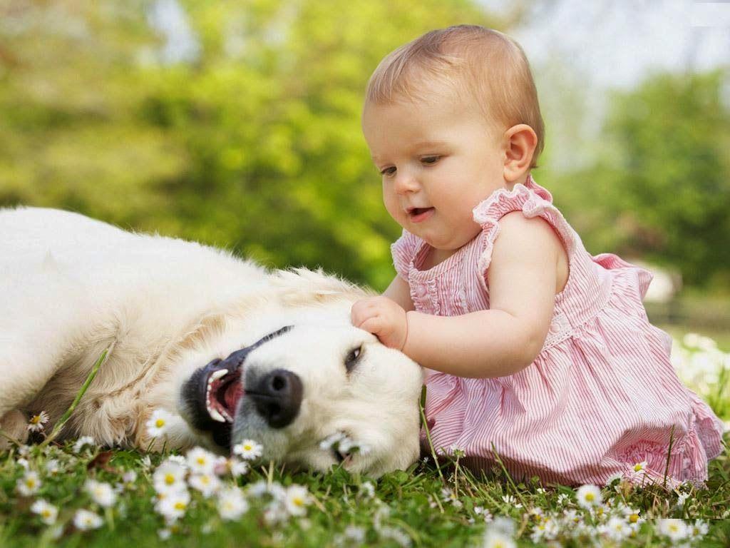 1024x768 Download New Desktop Full HD Wallpaper. HDWalllpapers.com: Cute Baby Playing With Dog HD Wallpaper