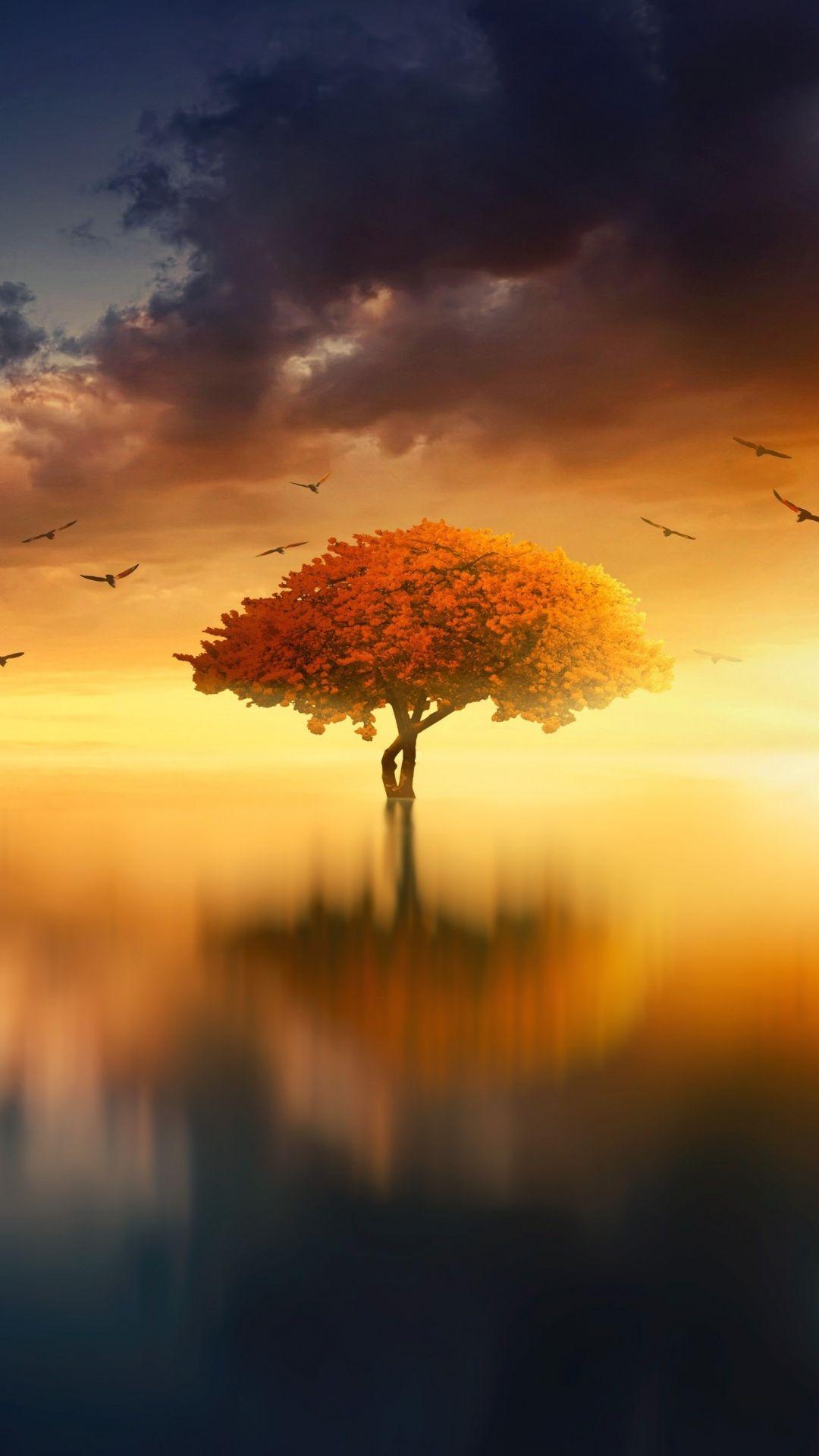 1080x1920 Sunset, birds, lake, tree, reflection, photohop, 1080x1920 wallpaper. Sunset wallpaper, Beautiful landscapes, Landscape photography