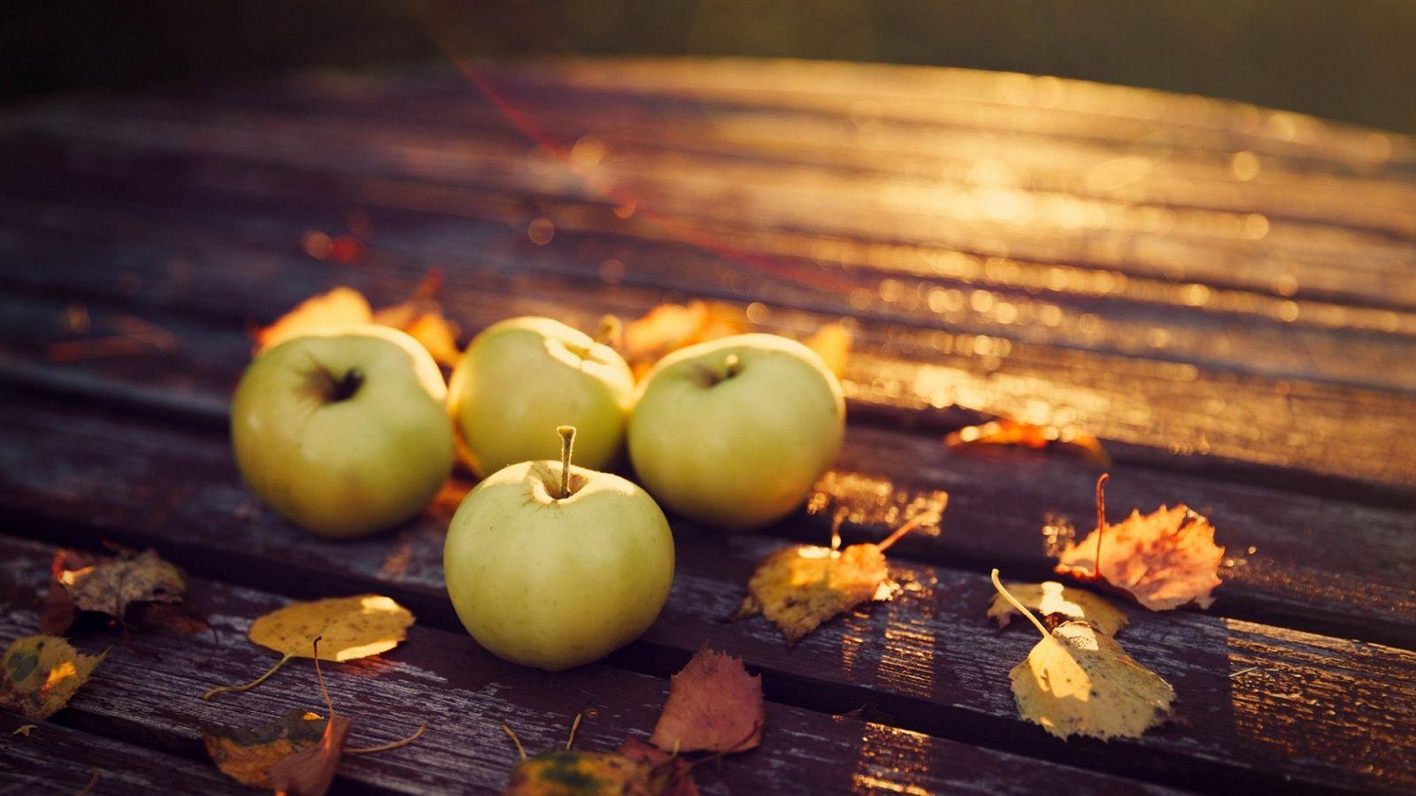 1600x900 Apples Harvest Autumn Wallpaper