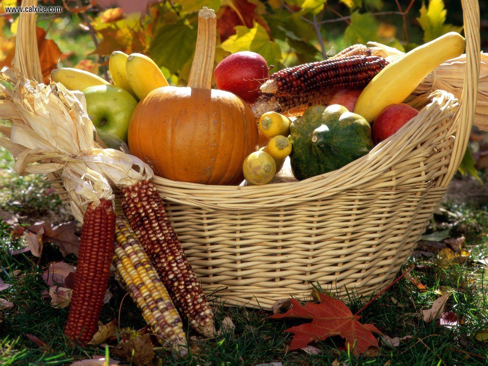 1600x1200 Autumn Lights Picture: Autumn Harvest Desktop Wallpaper
