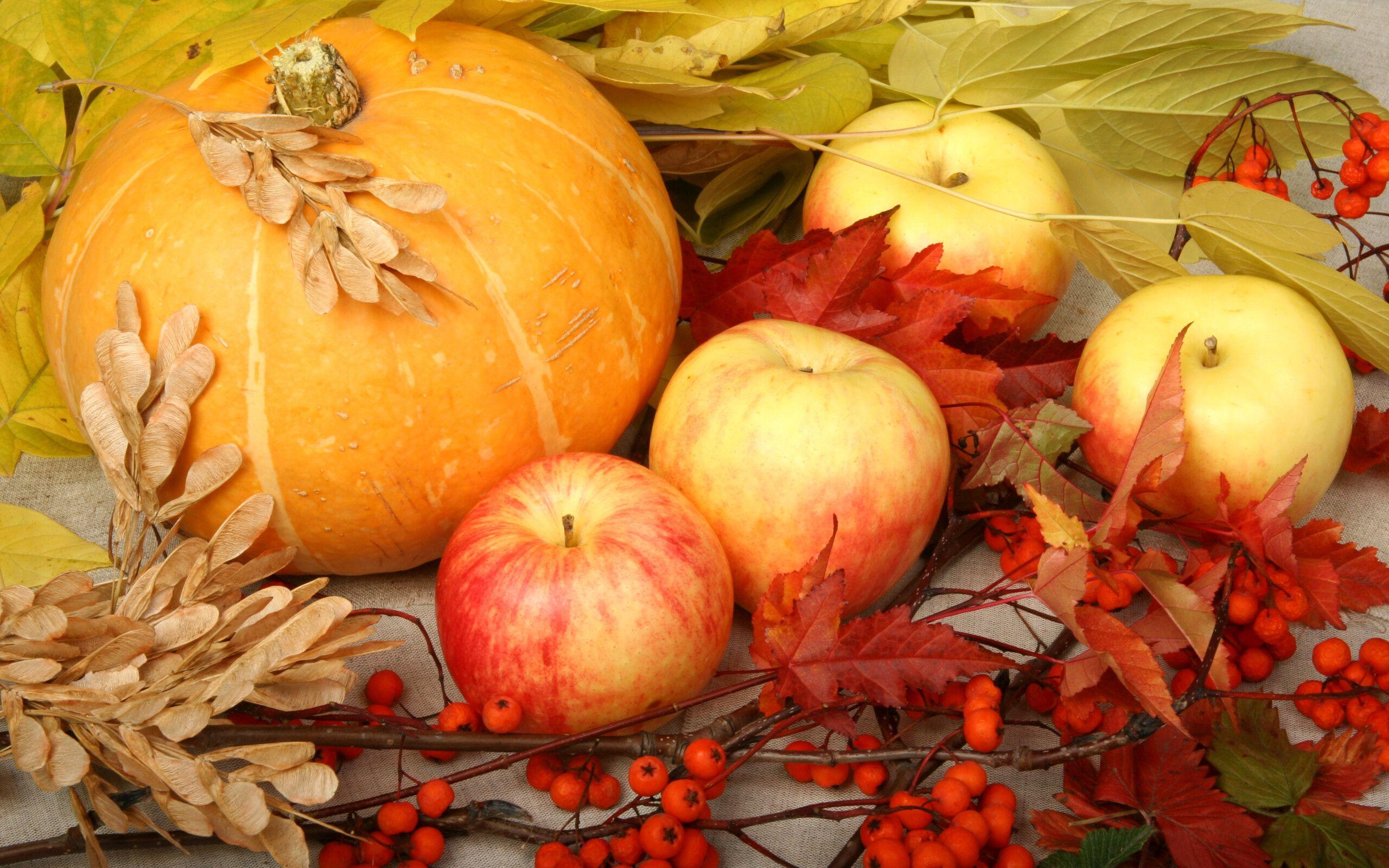 2560x1600 Delicious and sweet apples and pumpkins