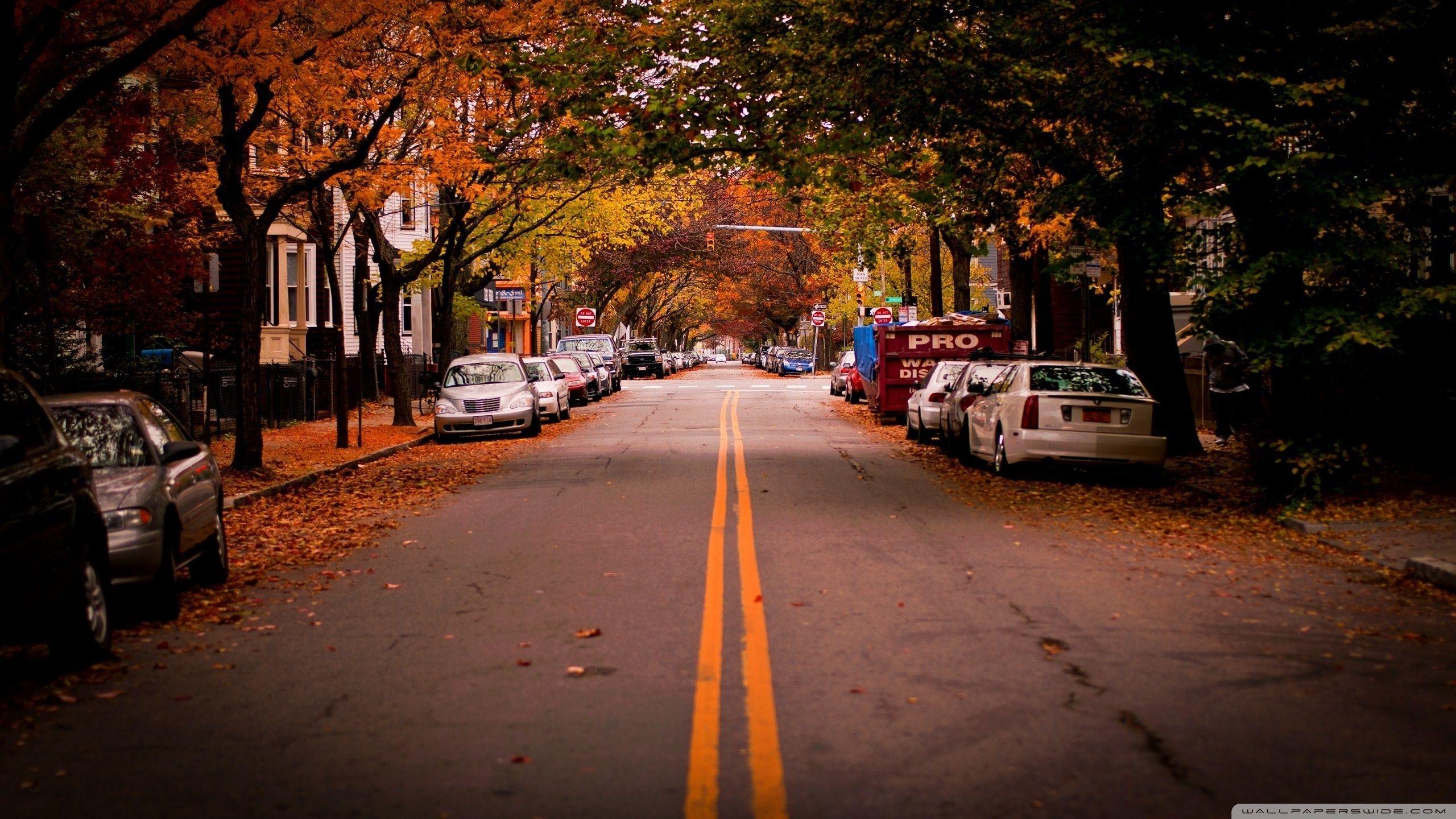 2560x1440 American Town, Autumn Ultra HD Desktop Background Wallpaper for 4K UHD TV : Multi Display, Dual Monitor : Tablet