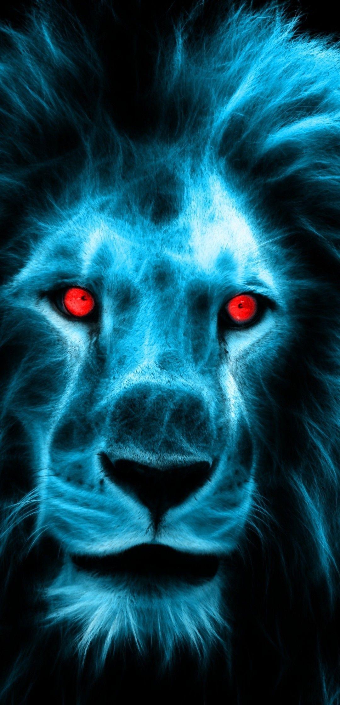 Fire Lion Stock Photos and Images - 123RF