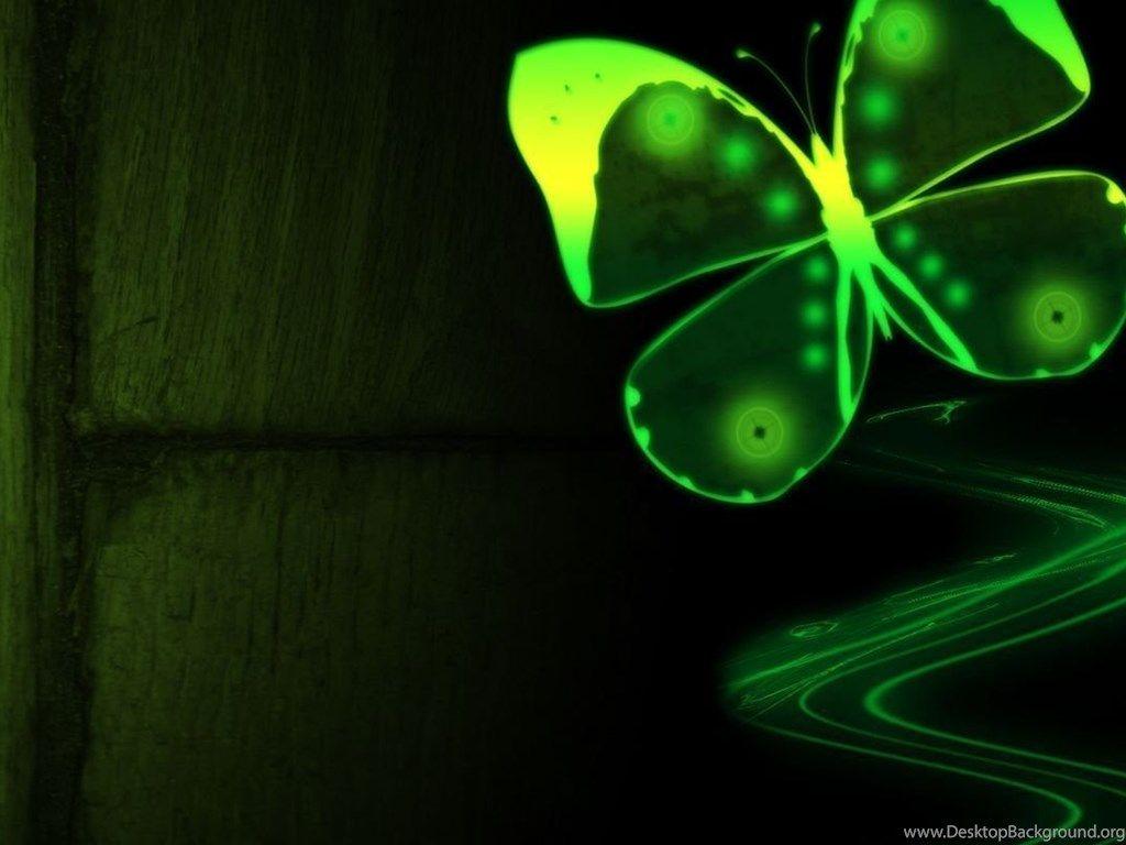 1024x768 Neon Green Butterfly Desktop Background
