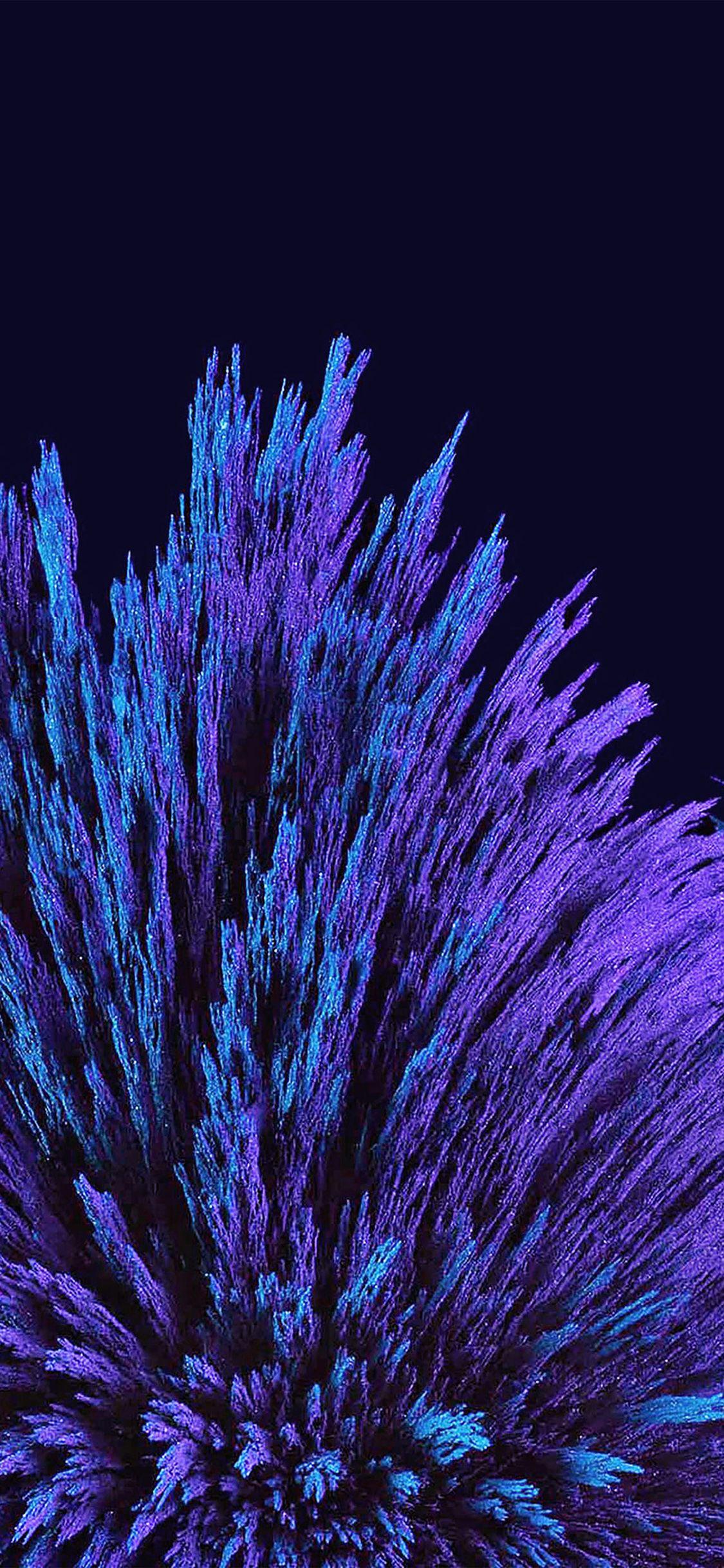 1125x2436 Blue Flower Wallpaper