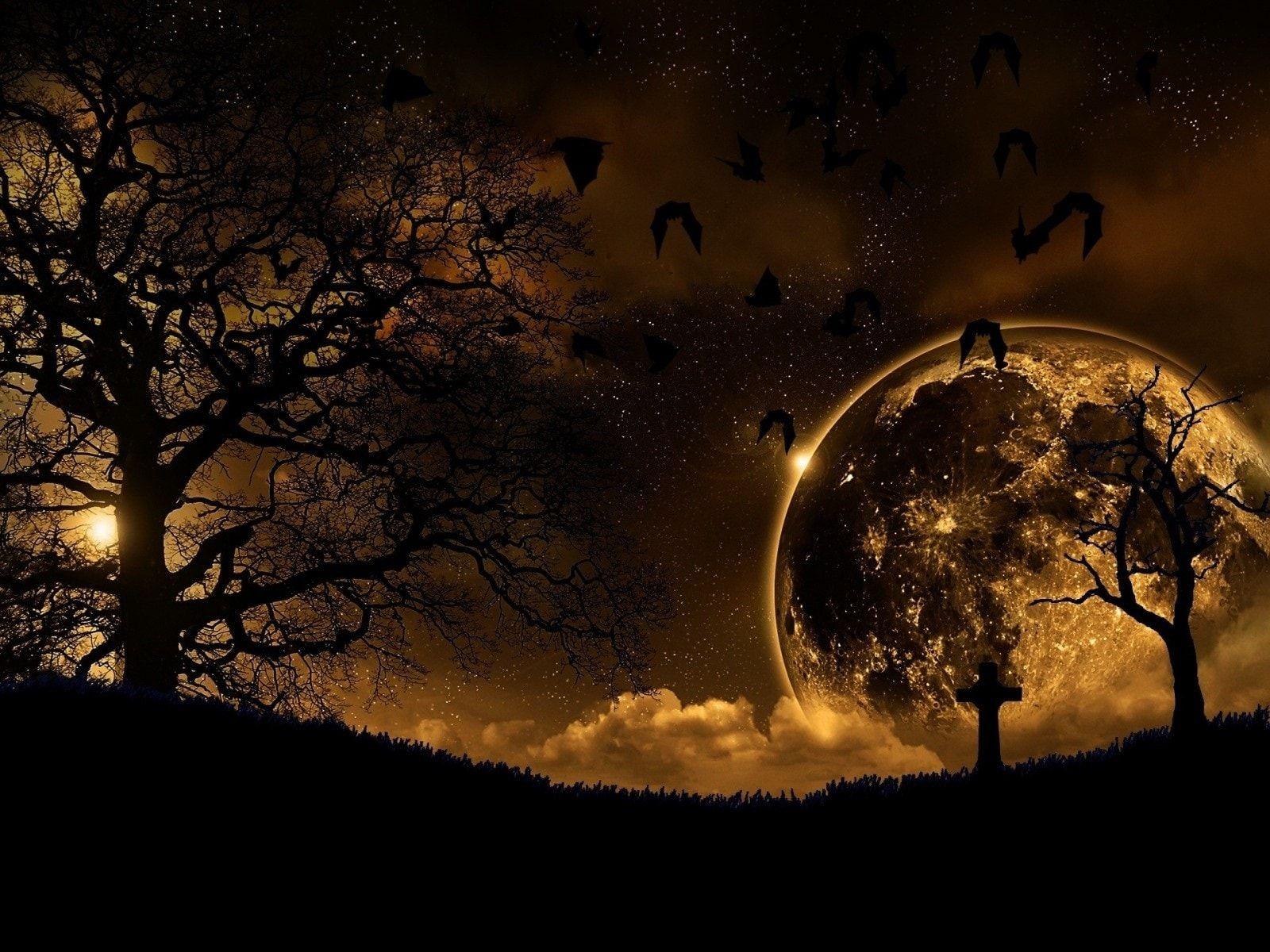 1600x1200 Full Moon Wallpaper Free HD Wallpaper