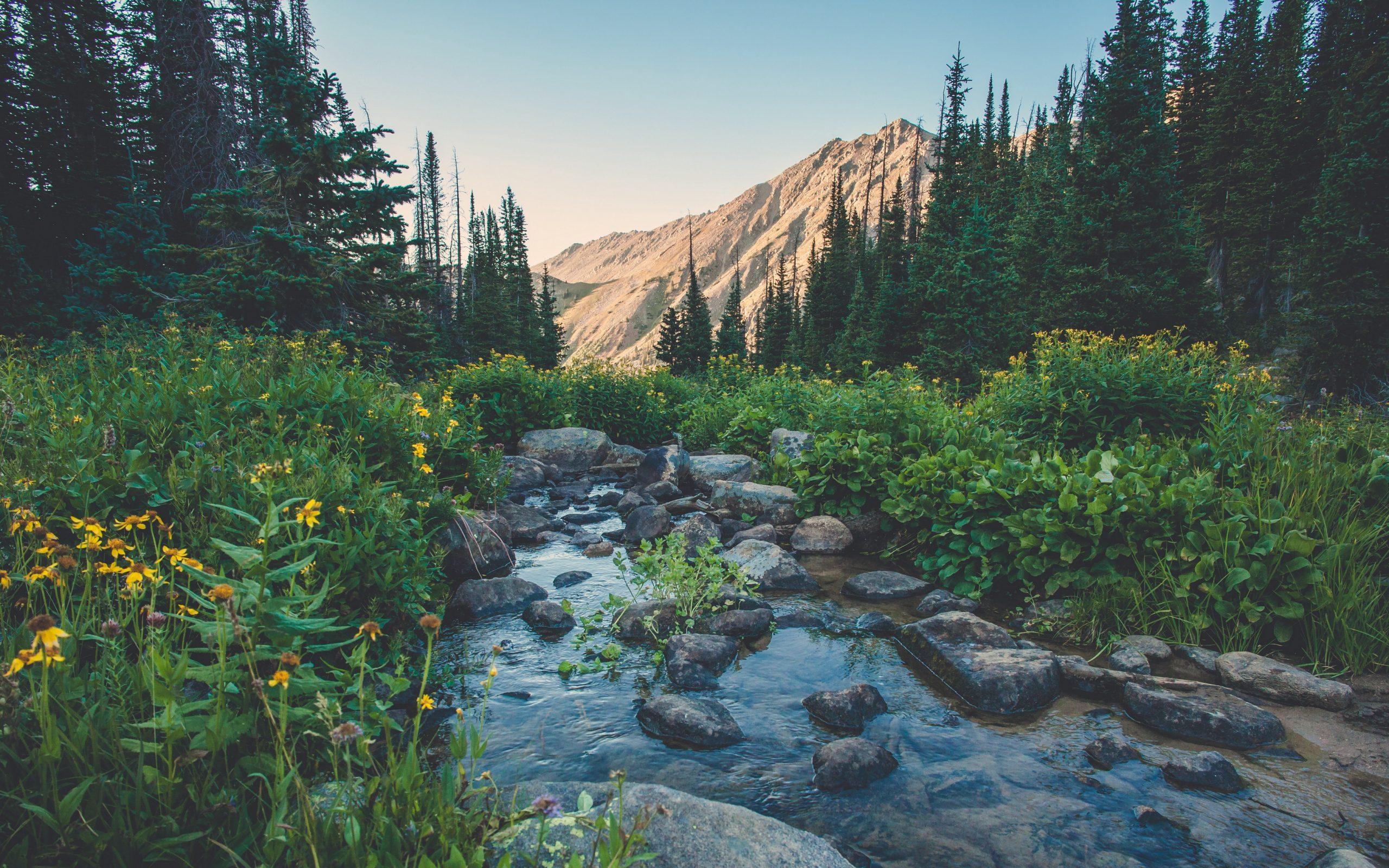 2560x1600 4k Nature Wallpaper Ultra HD 10 Download