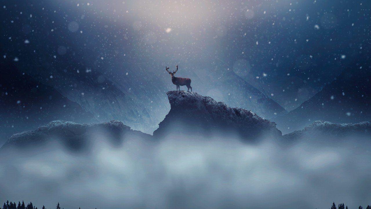 1280x720 Best HD and 4K Holiday Wallpaper for 2018 That You Must Get