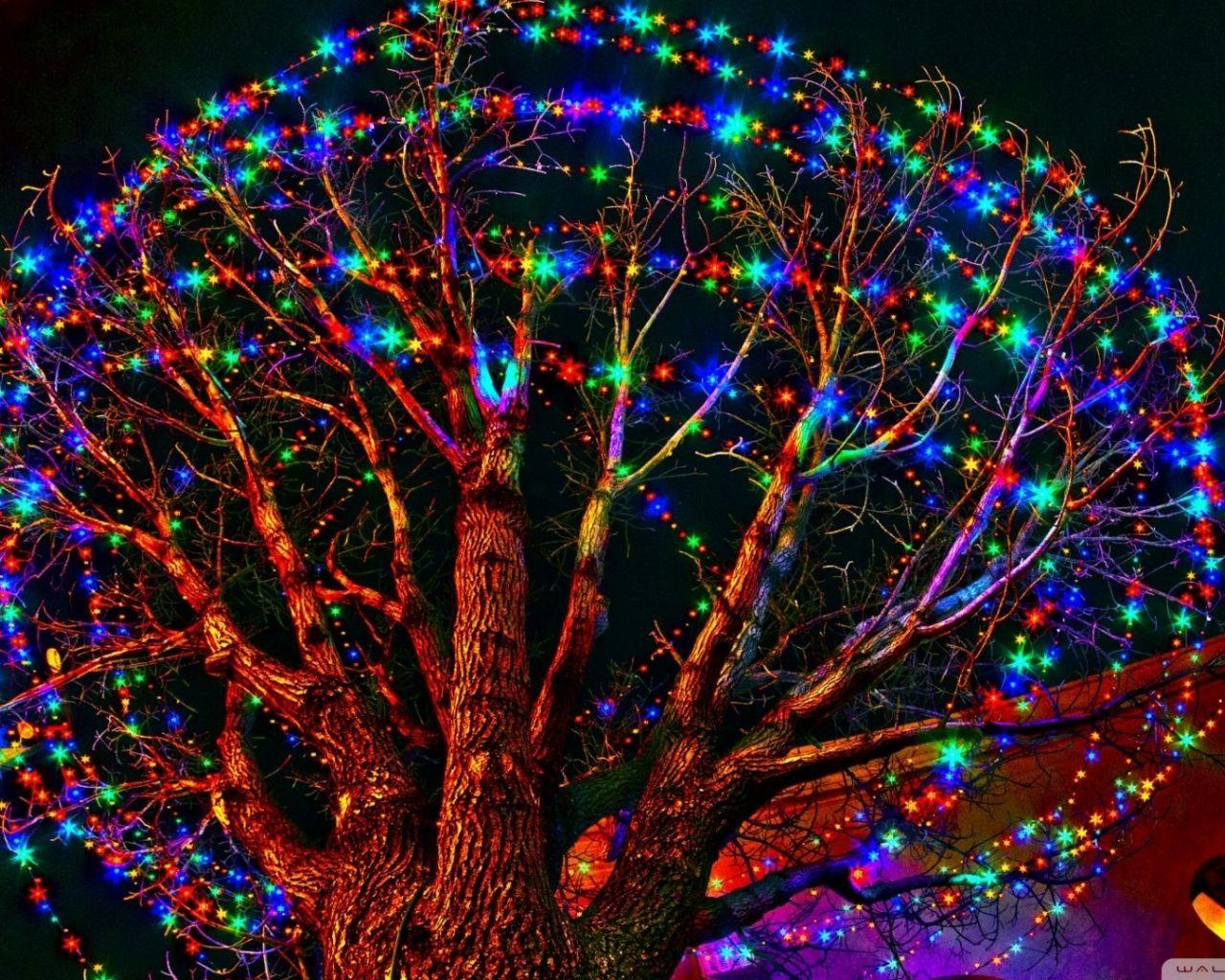 1280x1024 Free download Sunday for holiday Wallpaper HD Wallpaper HD picture For Desktop [1920x1080] for your Desktop, Mobile & Tablet. Explore Holiday Desktop Wallpaper. Free Desktop Wallpaper, Christmas Desktop Free