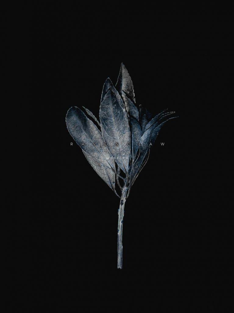 768x1024 Free download Dark Aesthetic iPhone Wallpaper Top Dark Aesthetic iPhone [1000x1778] for your Desktop, Mobile & Tablet. Explore Dark Aesthetic Wallpaper. Dark Aesthetic Wallpaper, Dark Bomber Aesthetic Wallpaper, Aesthetic Wallpaper