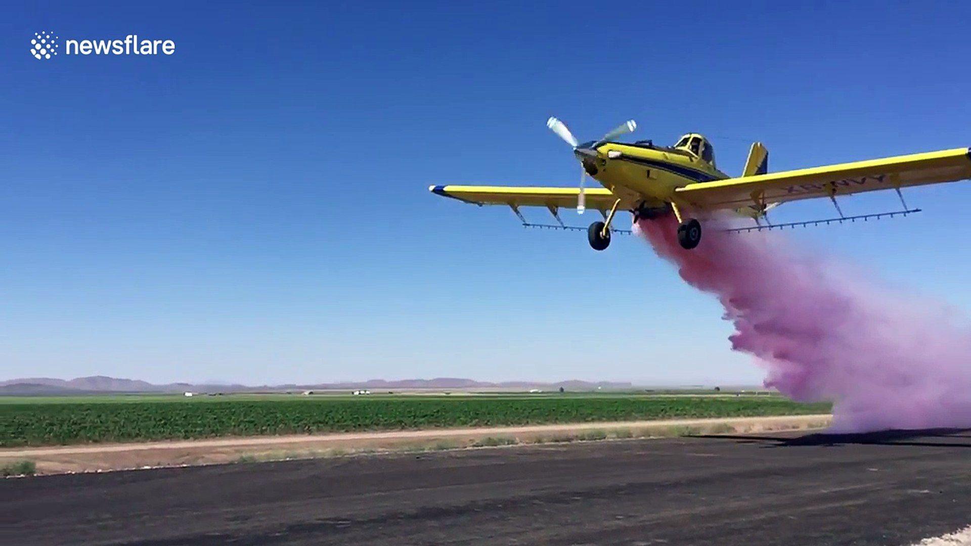 1920x1080 Pilot reveals gender of second baby with plane