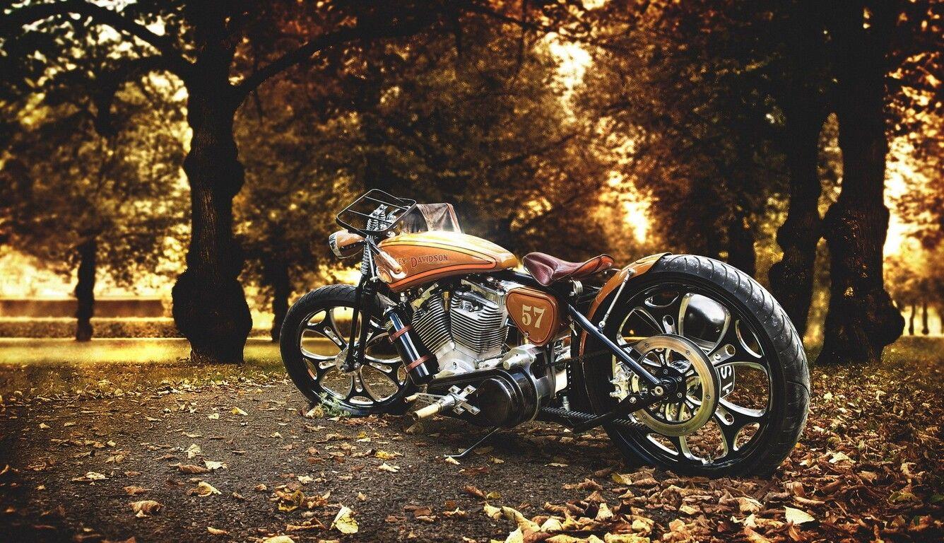 1336x768 Harley Davidson Motorcycle Laptop HD HD 4k Wallpaper, Image, Background, Photo and Picture
