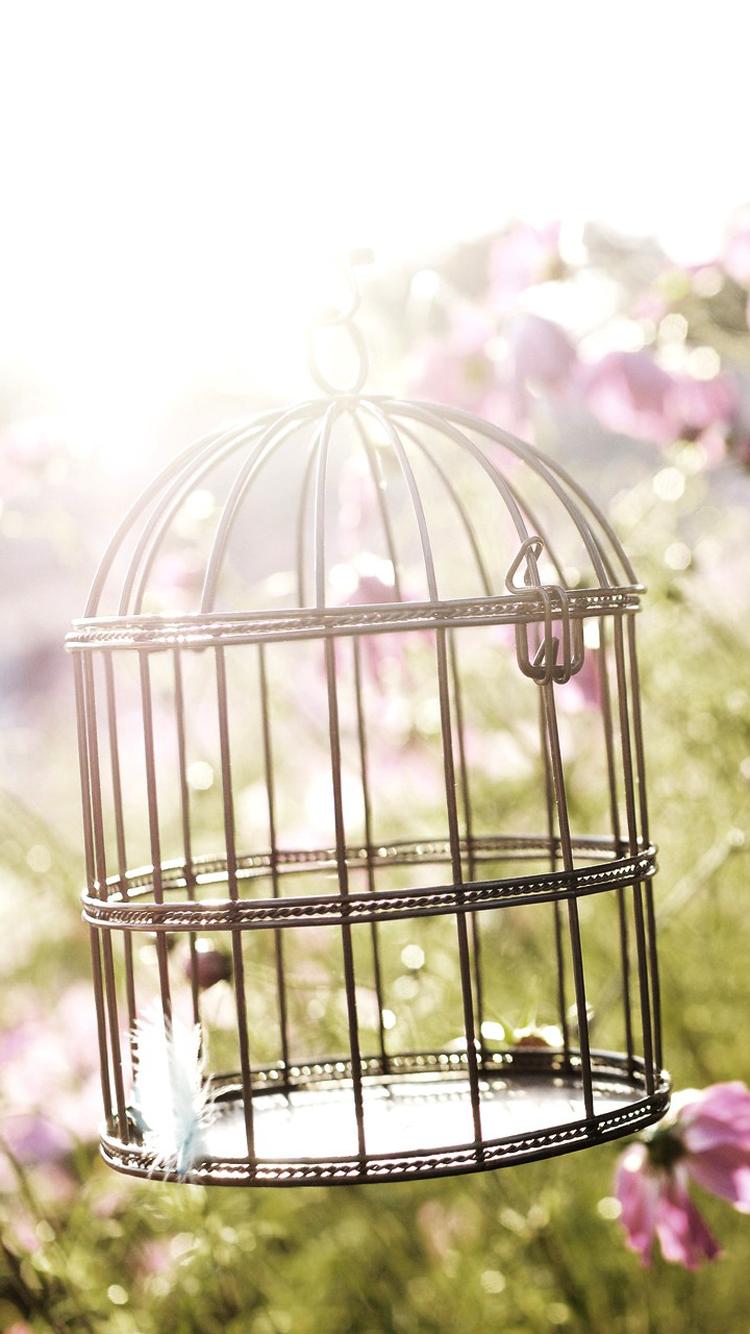 Bird Cage Wallpapers - Top Free Bird Cage Backgrounds - WallpaperAccess