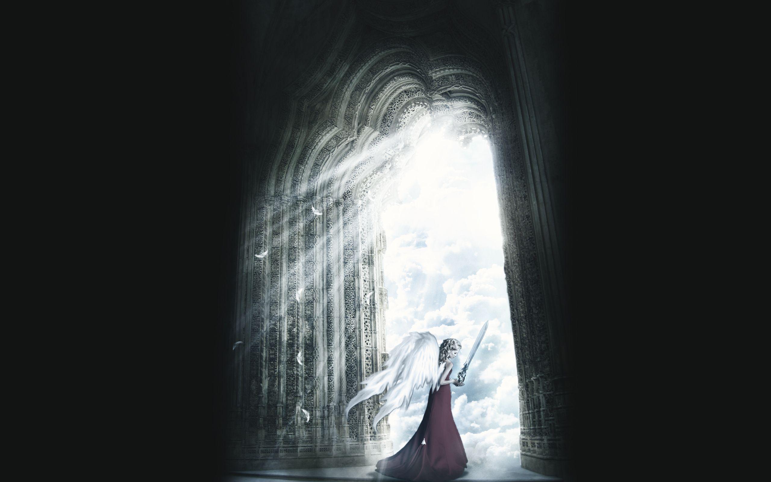 2560x1600 Fantasy Angel Wallpaper:2560x1600