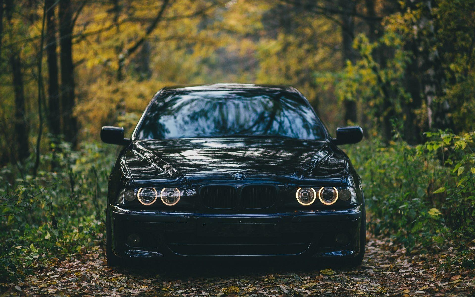 1920x1200 Bmw M E Forest, Offroad, Black M Bmw M5 E39 Обои