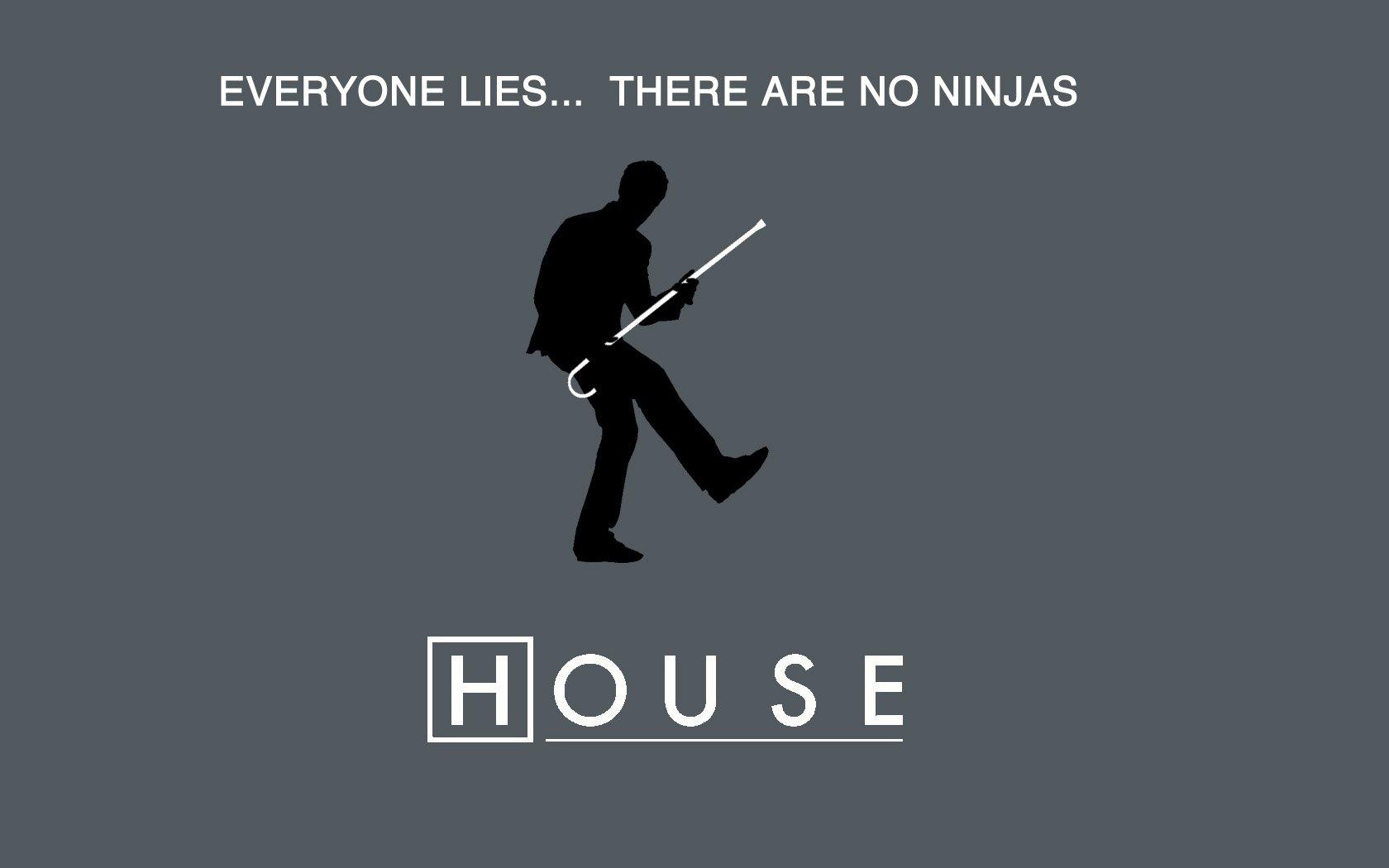 1680x1050 ninjas, Everybody, Lies, Gregory, House, House, M, Wallpaper HD / Desktop and Mobile Background