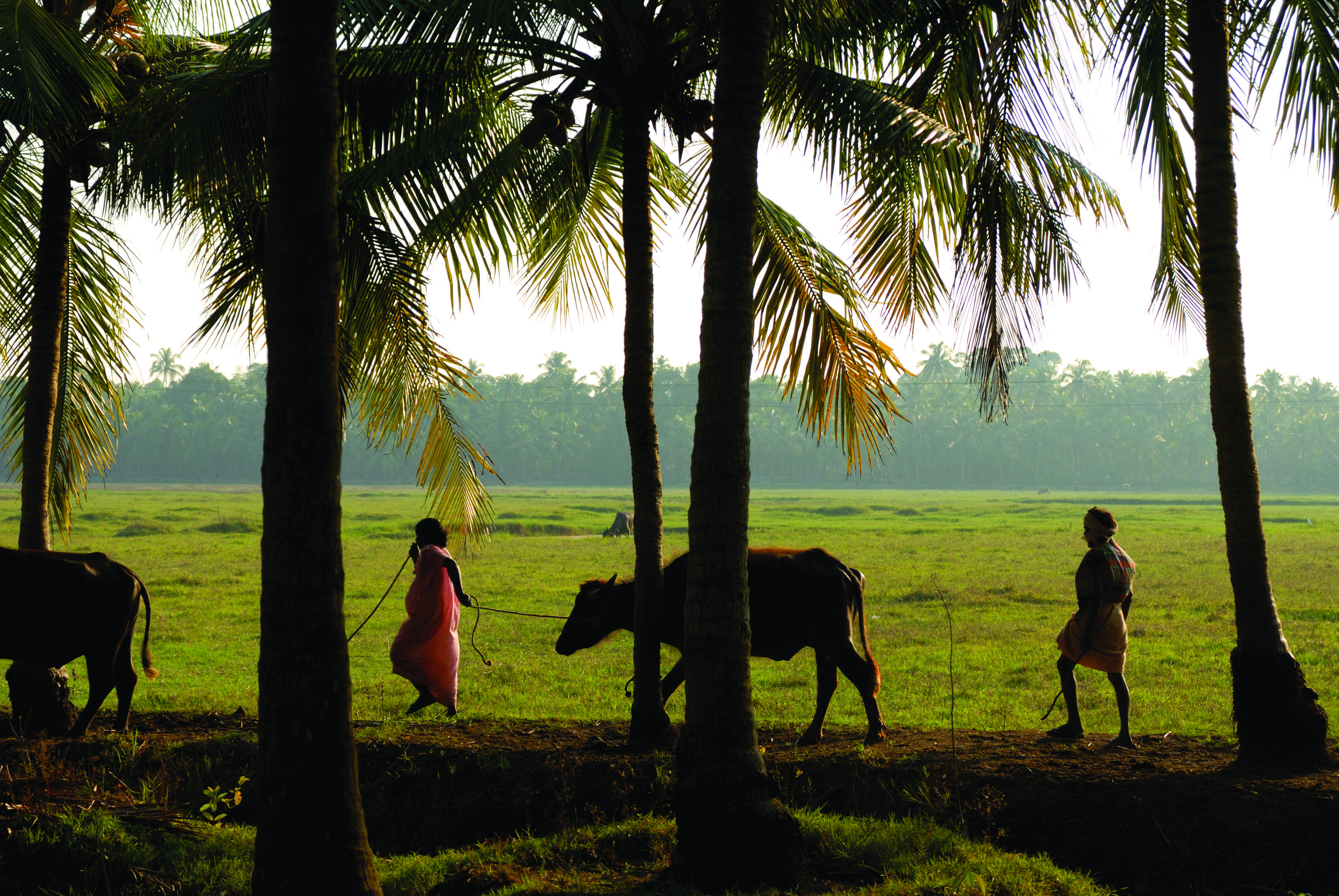 3307x2214 Village Life