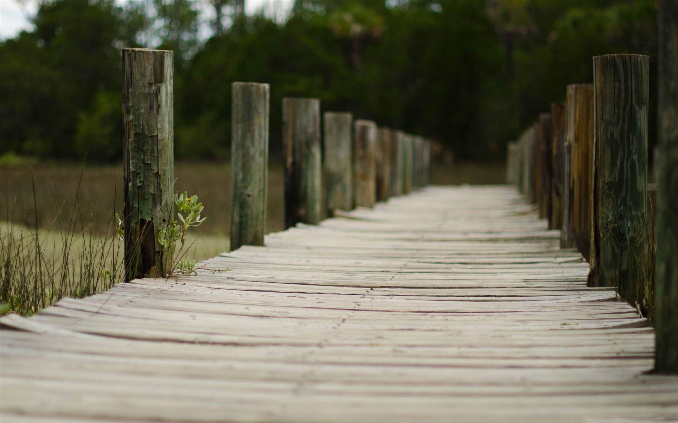2560x1600 The Boardwalk MacBook Air Wallpaper Download