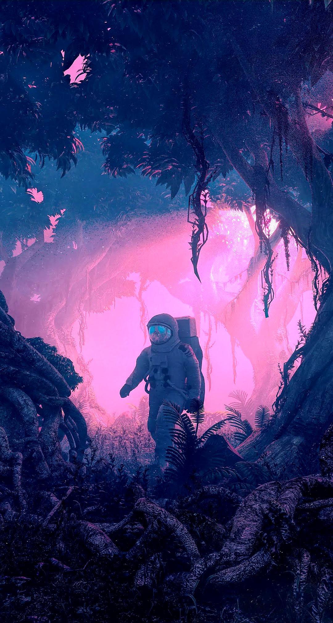 1080x2016 Astronaut phone wallpaper