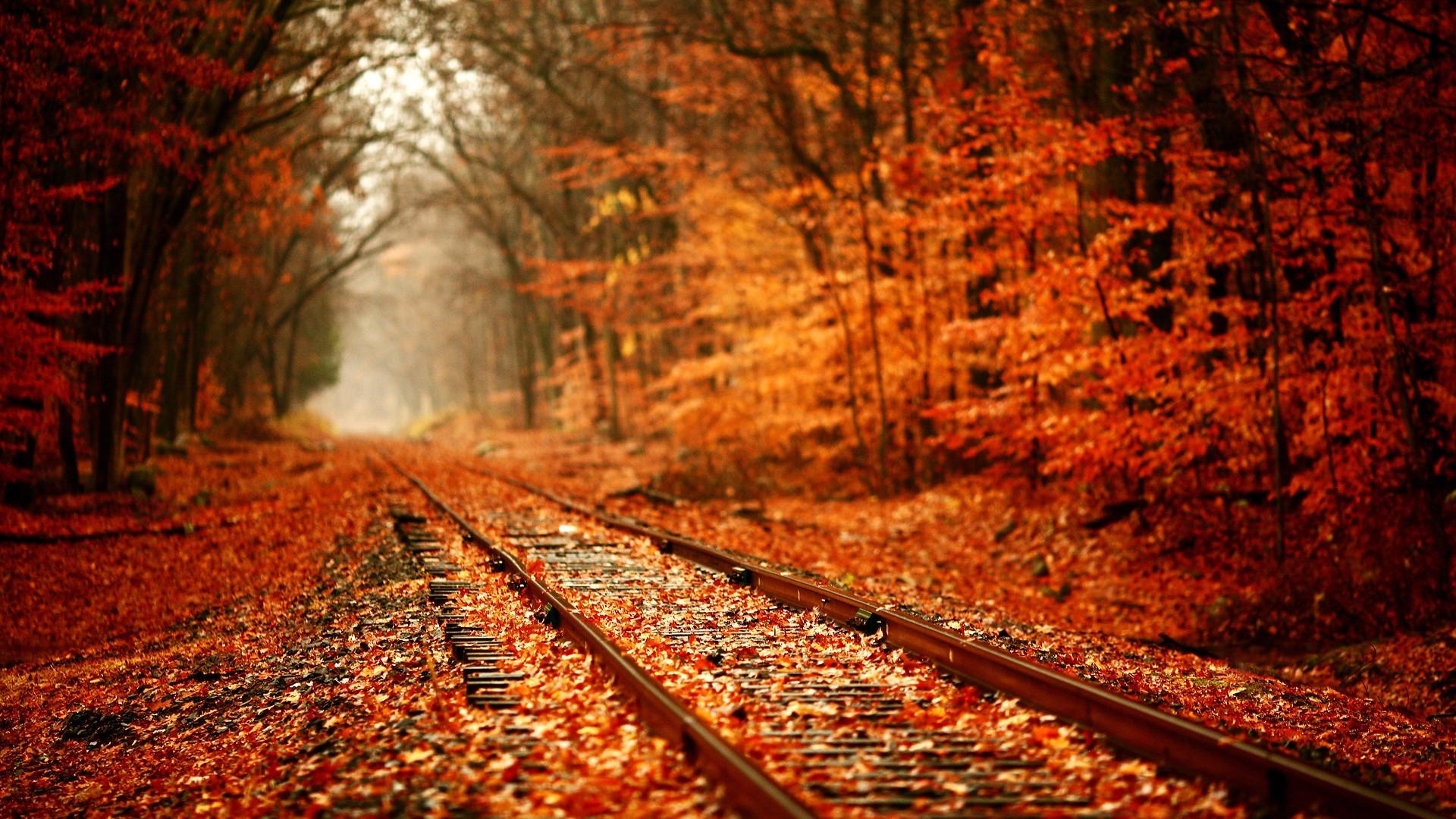 1920x1080 Beautiful Autumn Wallpaper