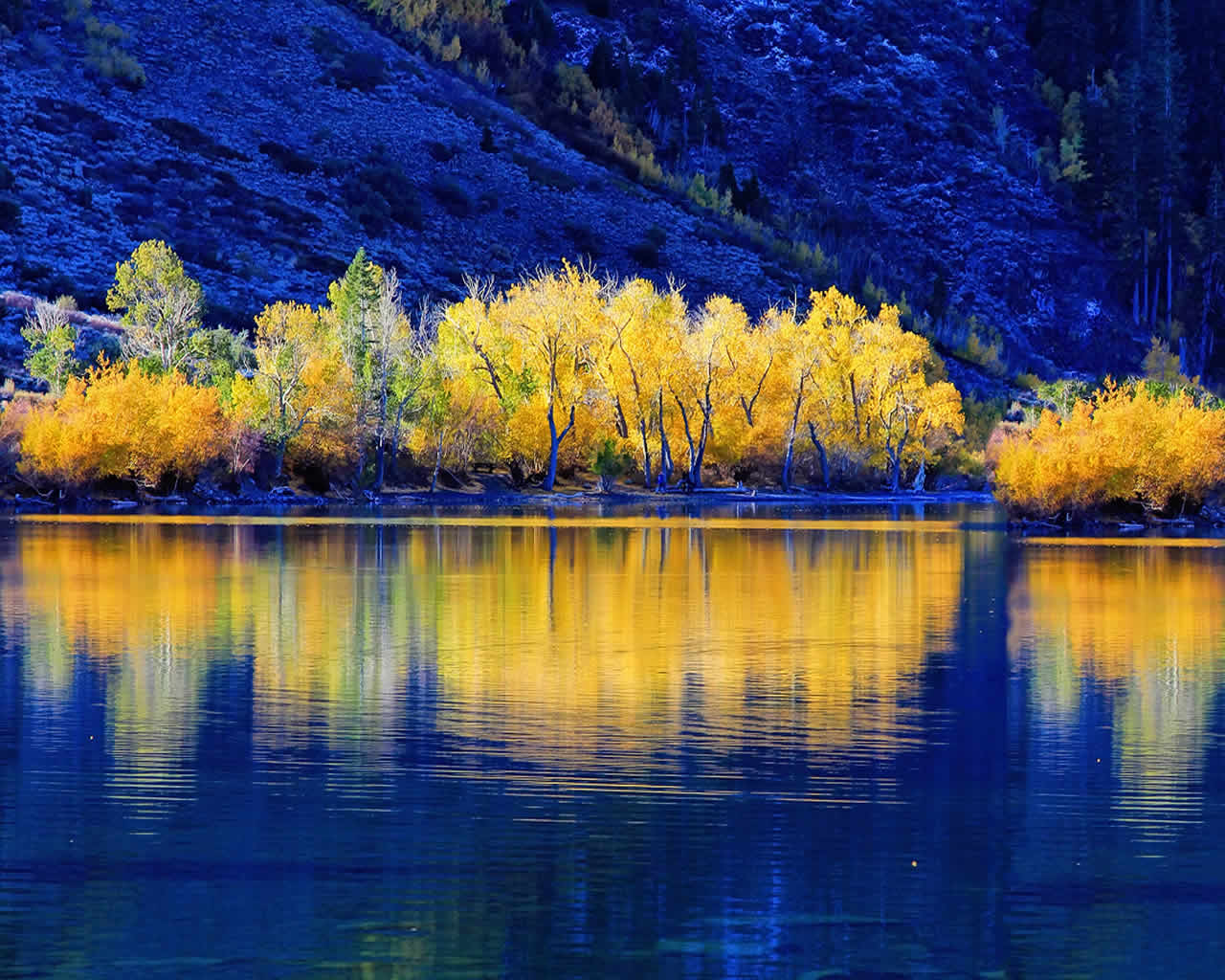 1280x1024 Free download fall landscapes computer desktop wallpaper background wallpaper [1280x1024] for your Desktop, Mobile & Tablet. Explore Aspen Tree Wallpaper for Home. Birch Tree Mural Wallpaper, Aspen Forest Wallpaper
