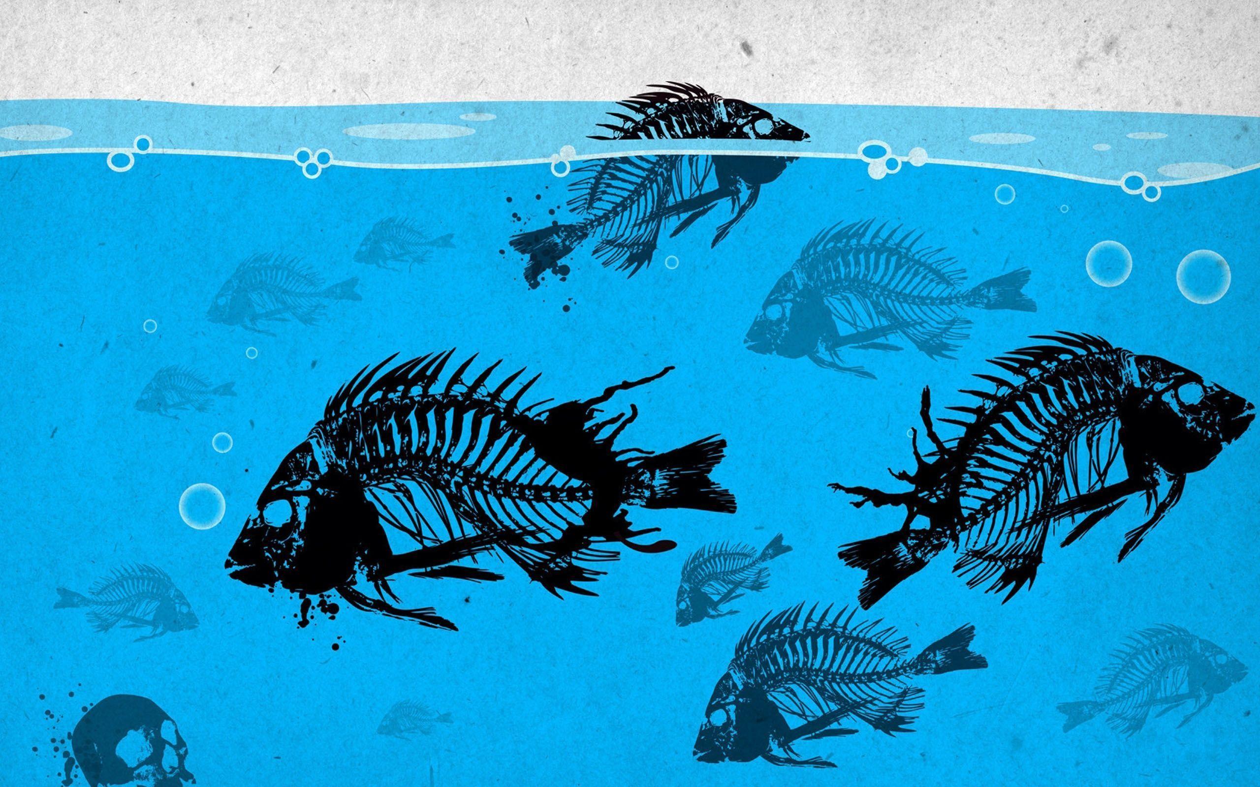 2560x1600 Fishing wallpaper and image, picture, photo