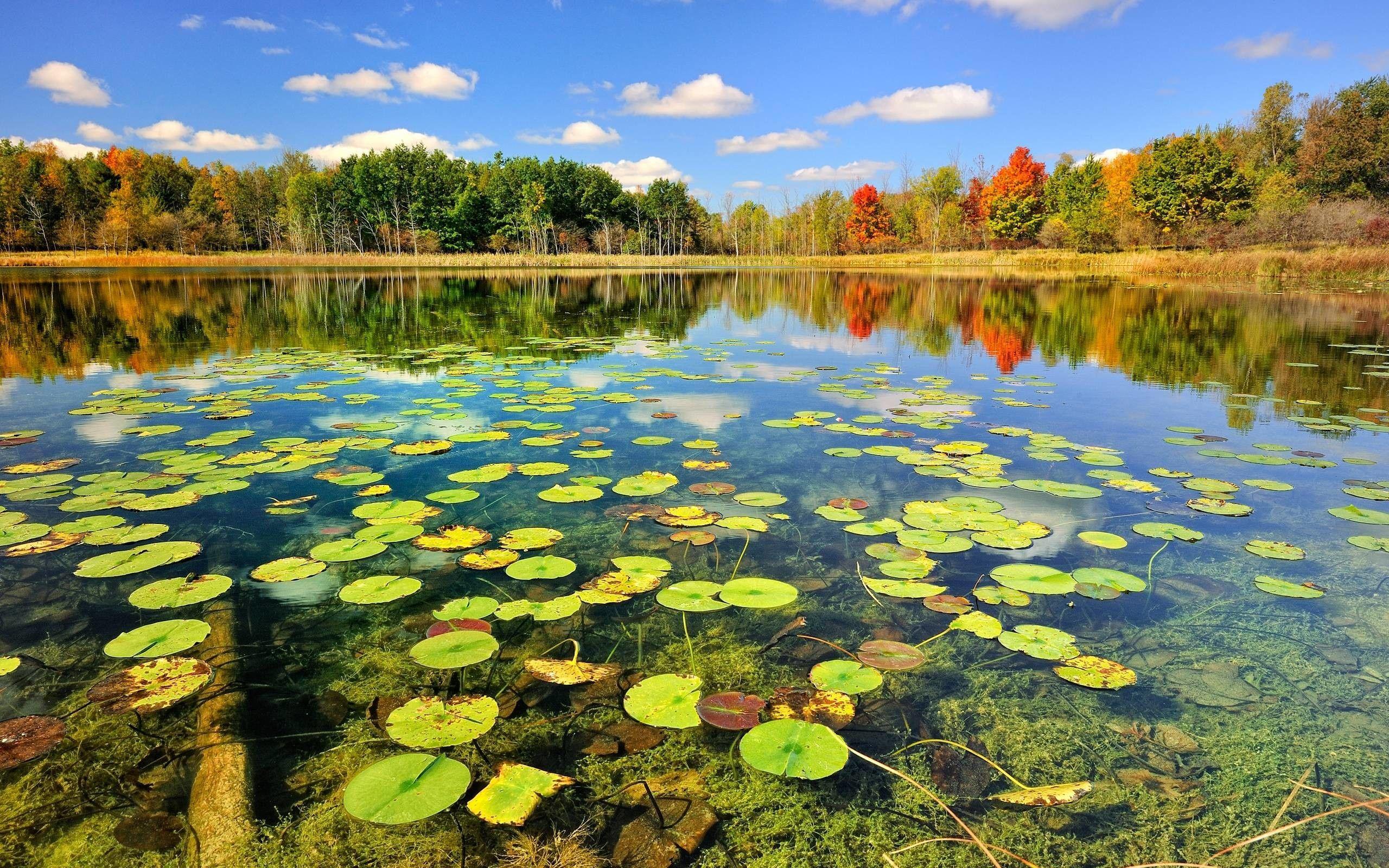 2560x1600 Bass Fishing Wallpaper HD
