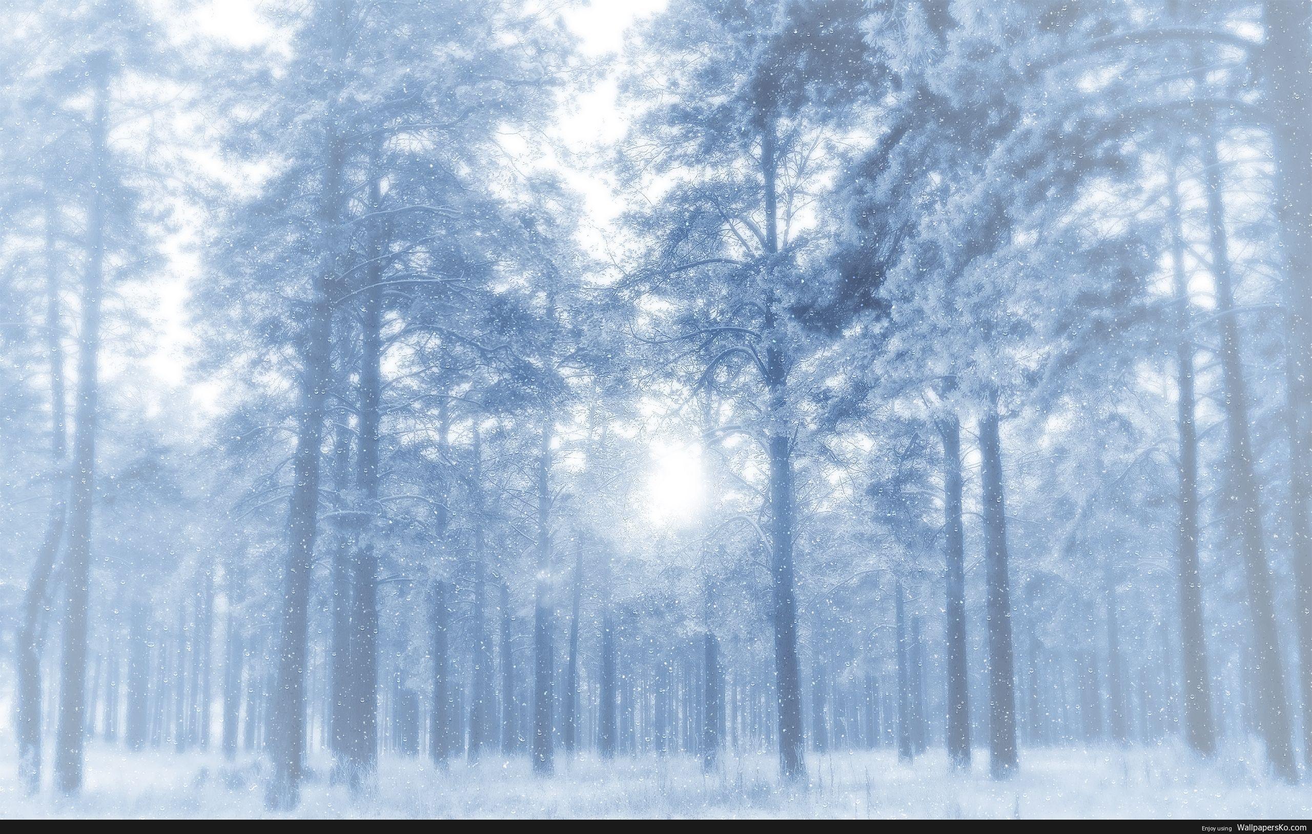 2560x1628 anime. Anime snow, Snow forest, Landscape wallpaper
