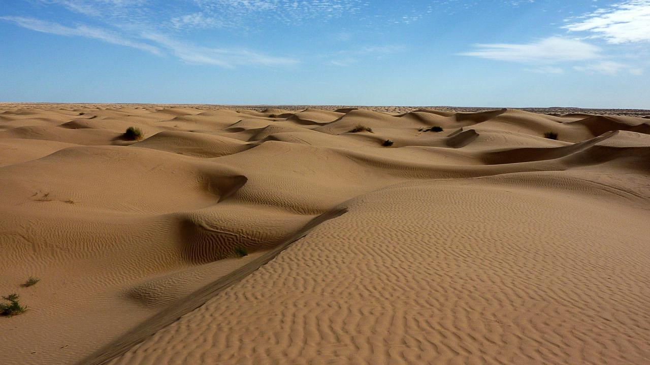 1280x720 Drones and satellites spot lost civilizations in unlikely places