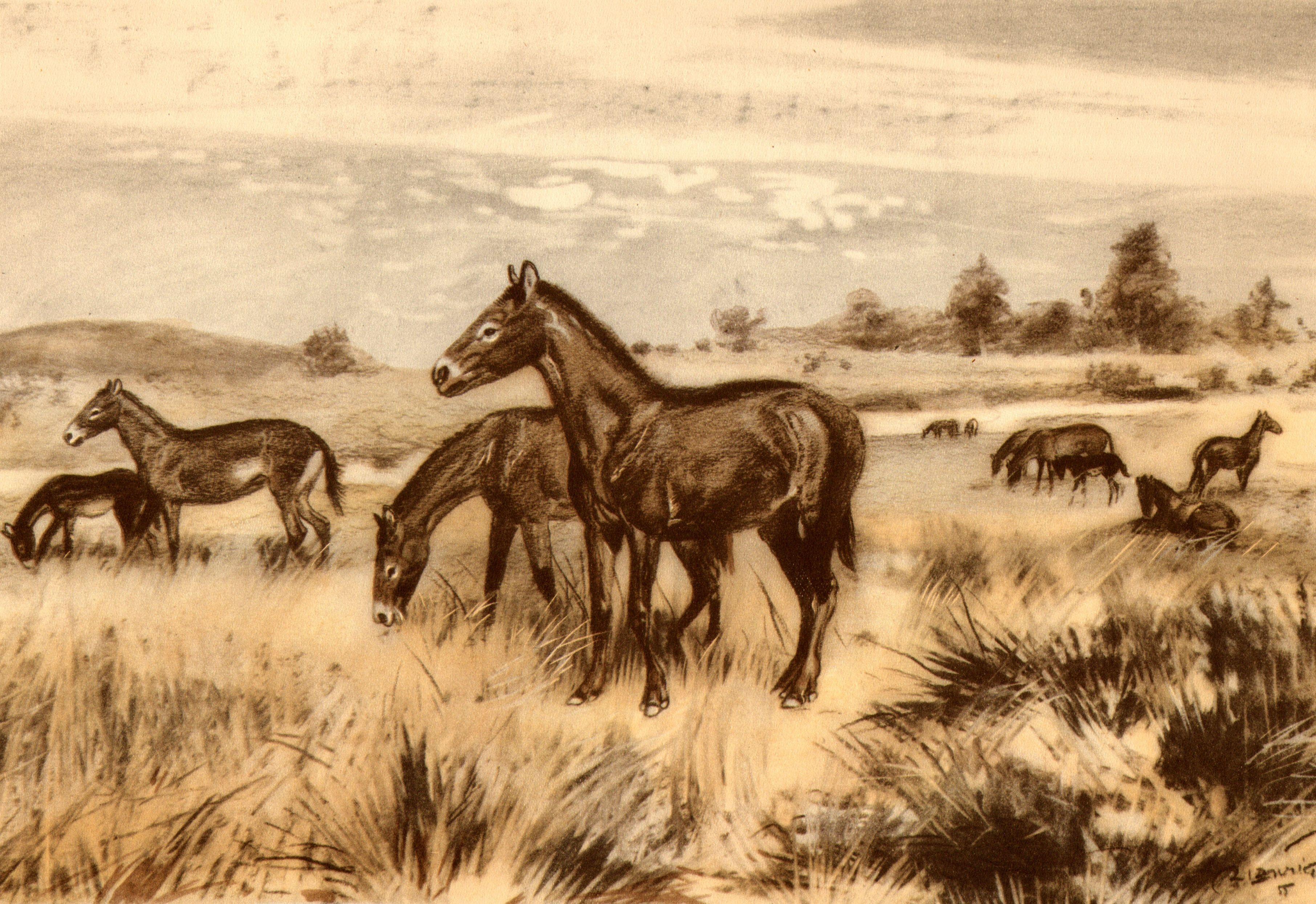 3624x2490 Download Wallpaper, Download 3624x2490 paintings illustrations horses ancient prehistoric zdenek burian 3624x2490 wallpaper Animals HD Wallpaper, Hi Res Animals Wallpaper, High Definition Wallpaper