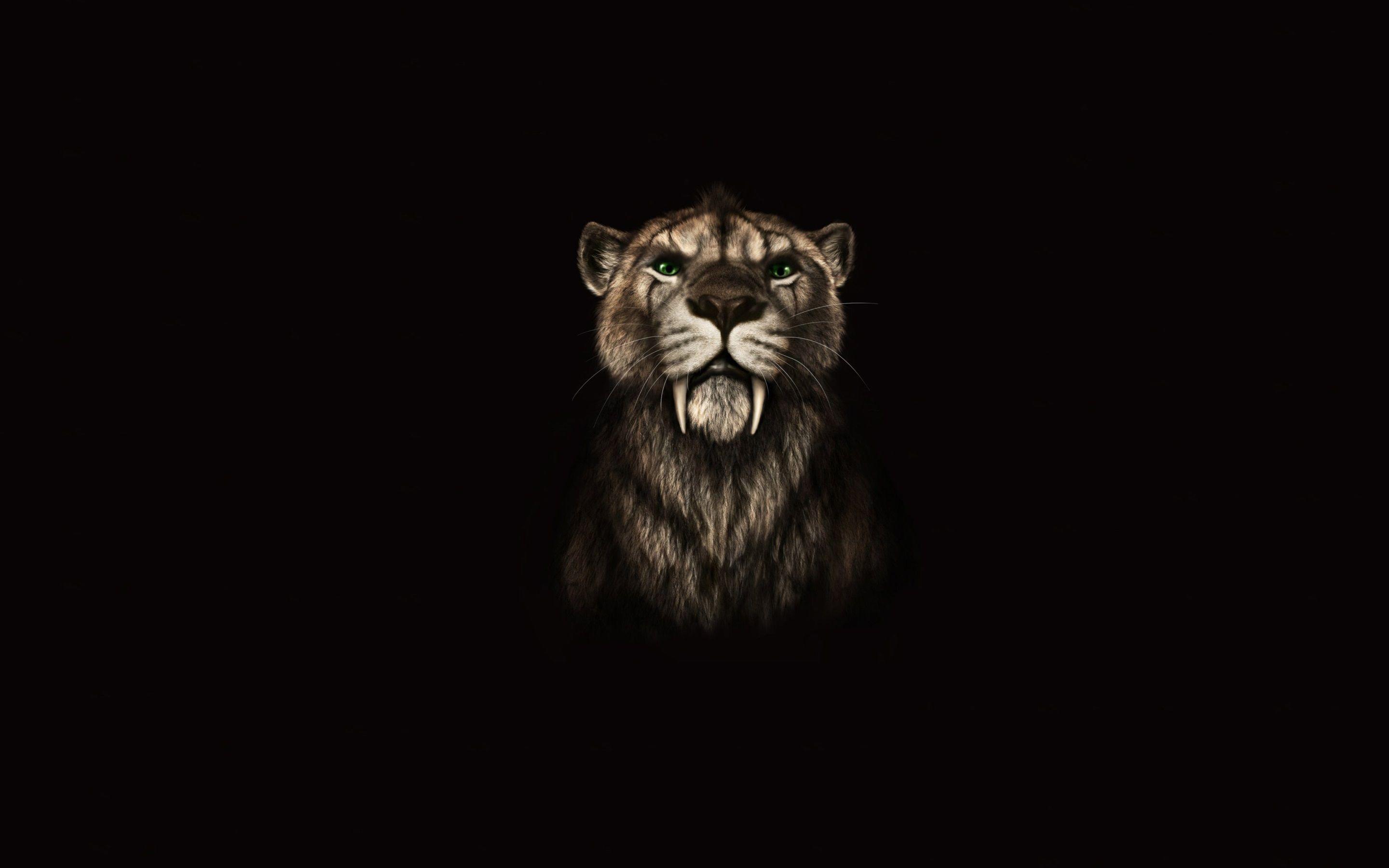 2880x1800 Wallpaper Ancient cat, teeth, green eyes, black background 2880x1800 HD Picture, Image