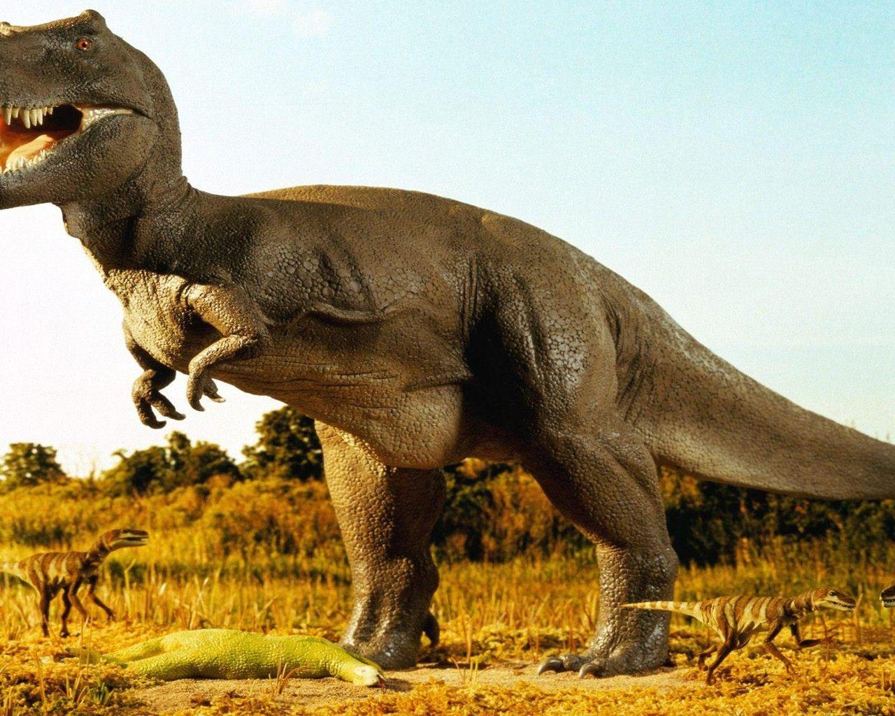 1280x1024 Ancient Animals Dinosaur Tyrannosaurus Rex Pets 0785 :